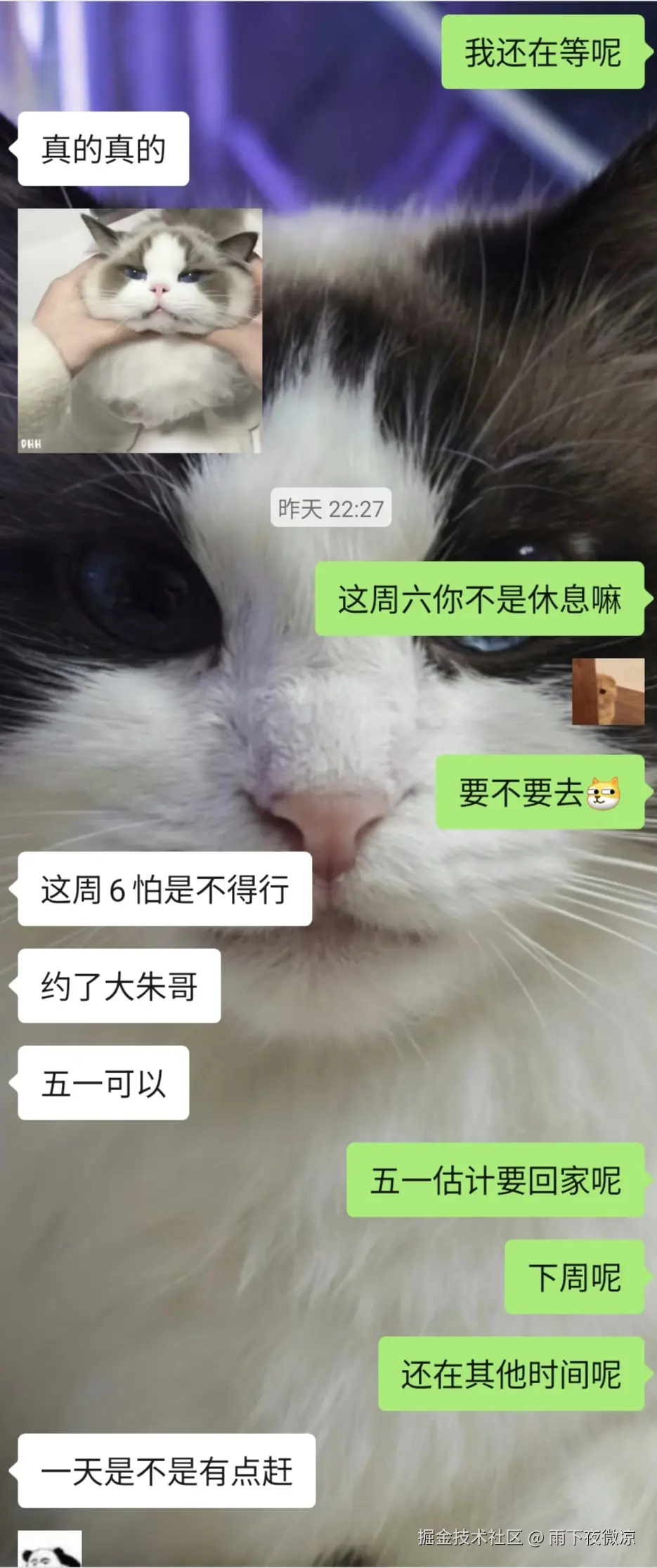 雨下夜微凉于2026-04-03 08:59发布的图片