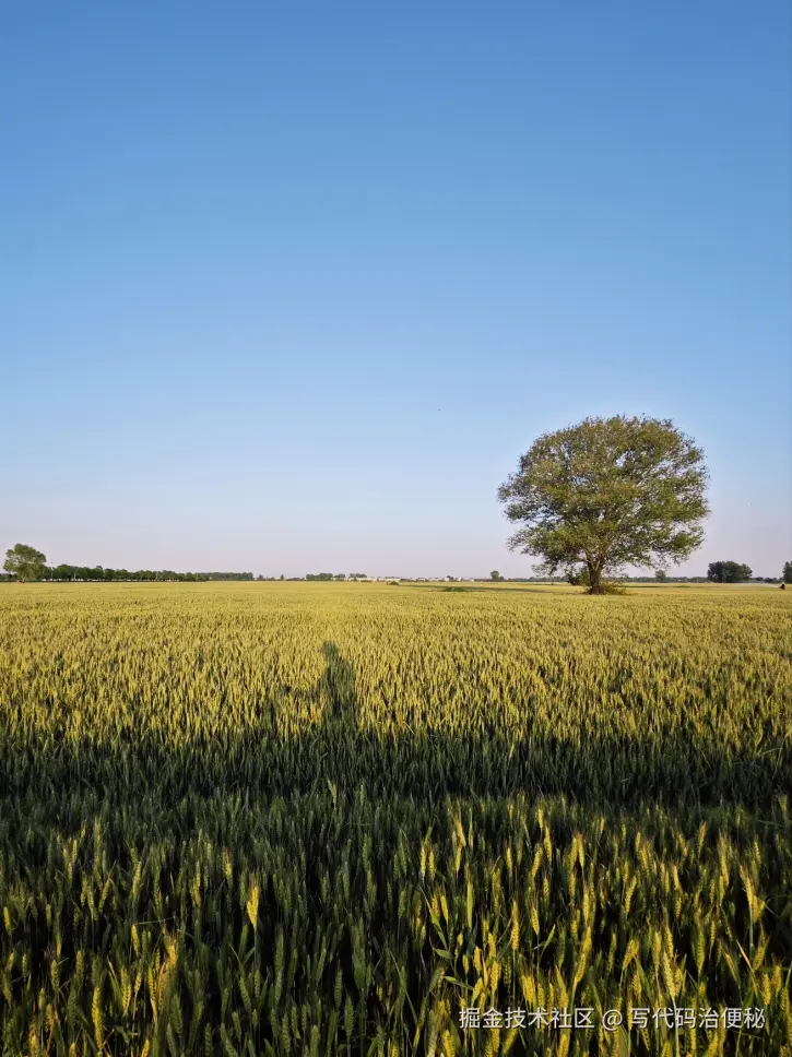 写代码治便秘于2025-05-07 10:57发布的图片