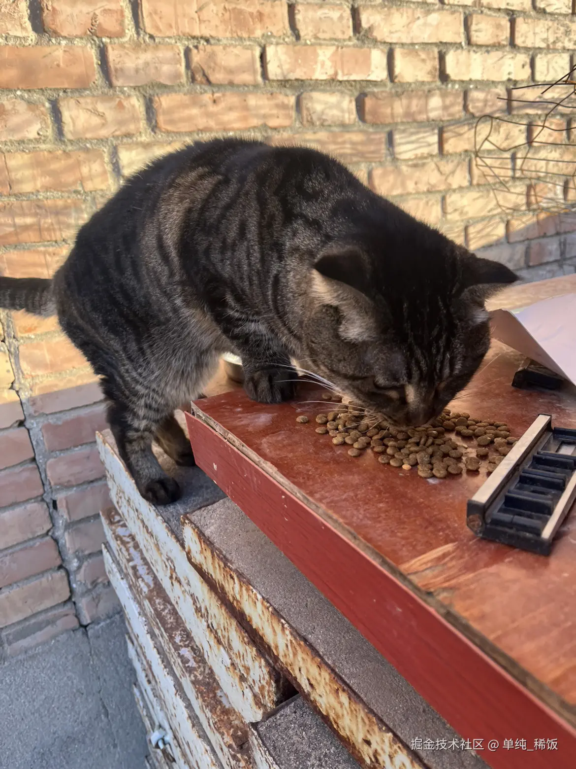 单纯_稀饭于2025-11-25 08:35发布的图片