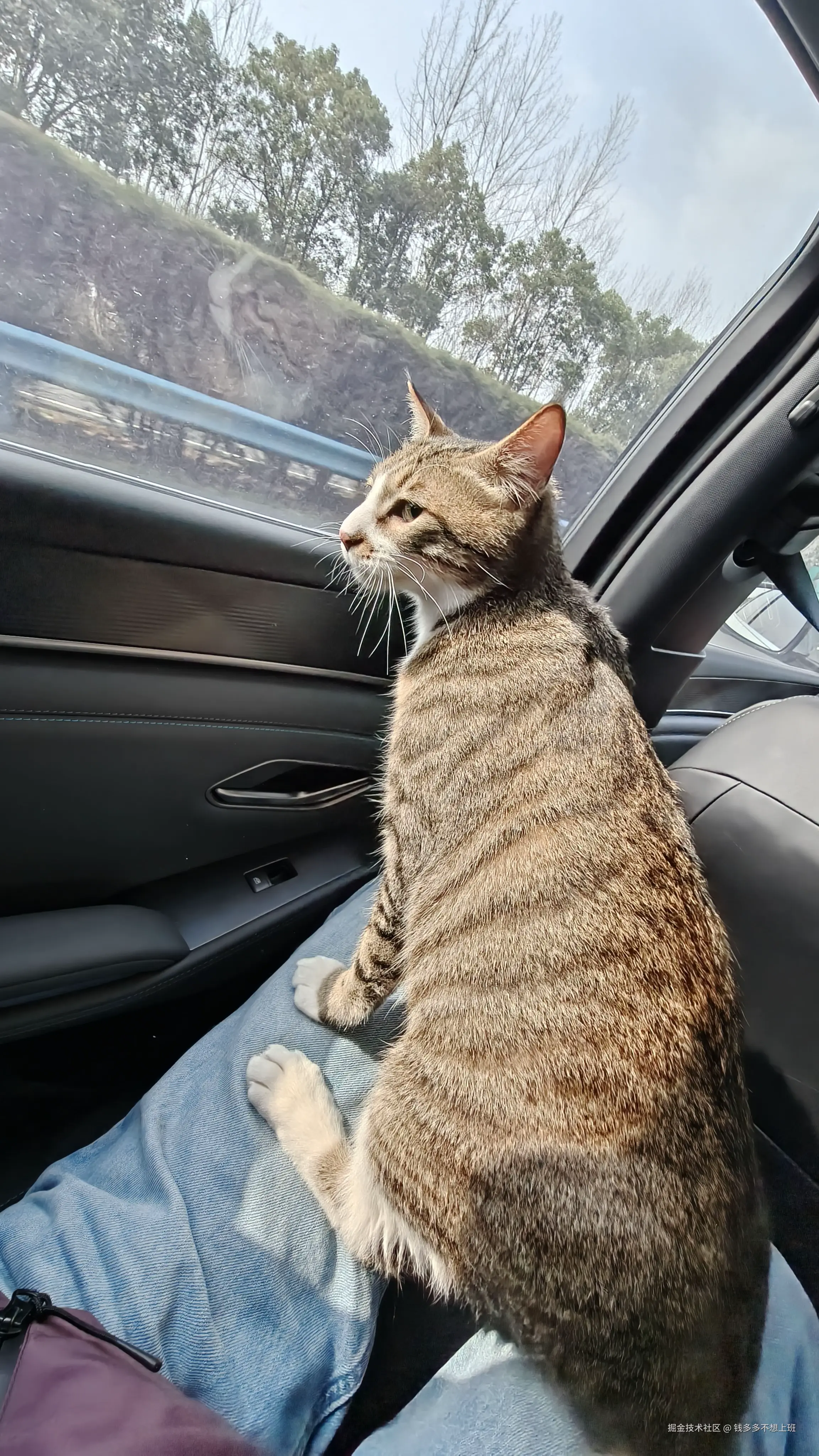 钱多多不想上班于2026-02-09 08:14发布的图片