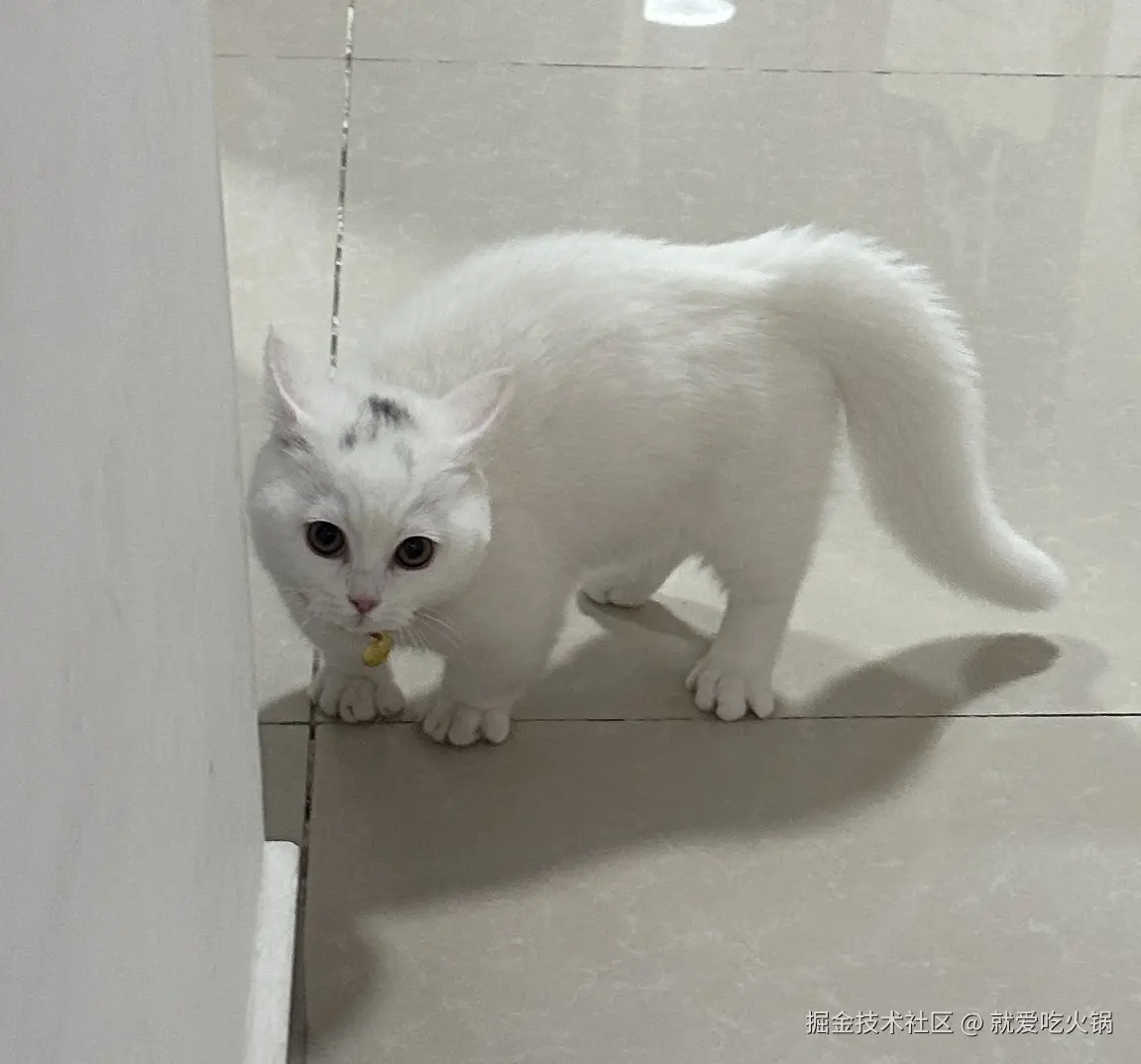 就爱吃火锅于2025-04-15 01:51发布的图片