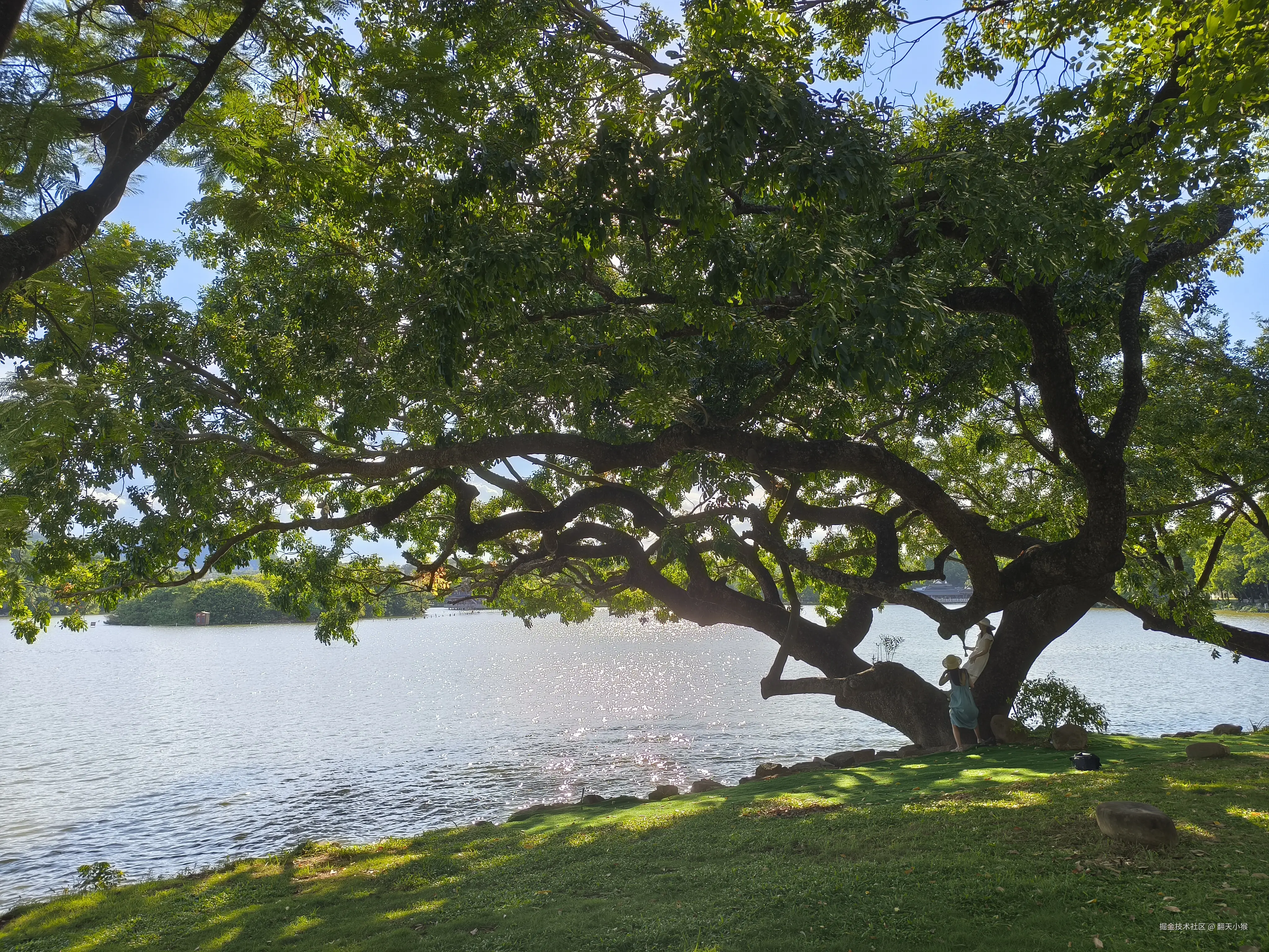 翻天小猴于2025-09-04 18:44发布的图片
