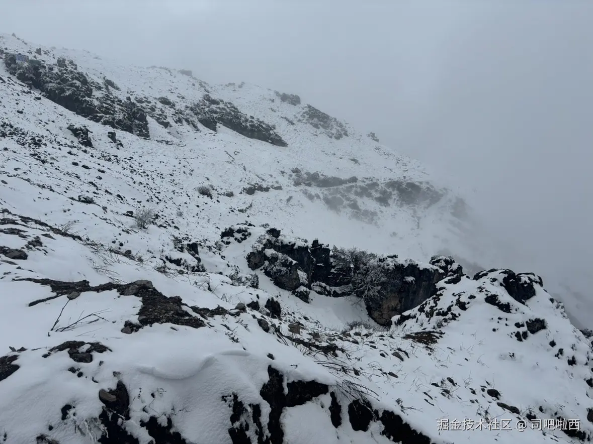 司吧啦西于2025-04-09 09:54发布的图片