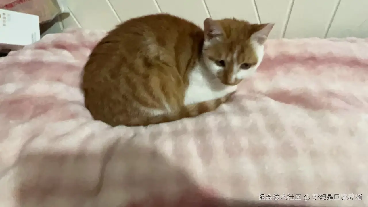 梦想是回家养猪于2024-12-16 19:37发布的图片