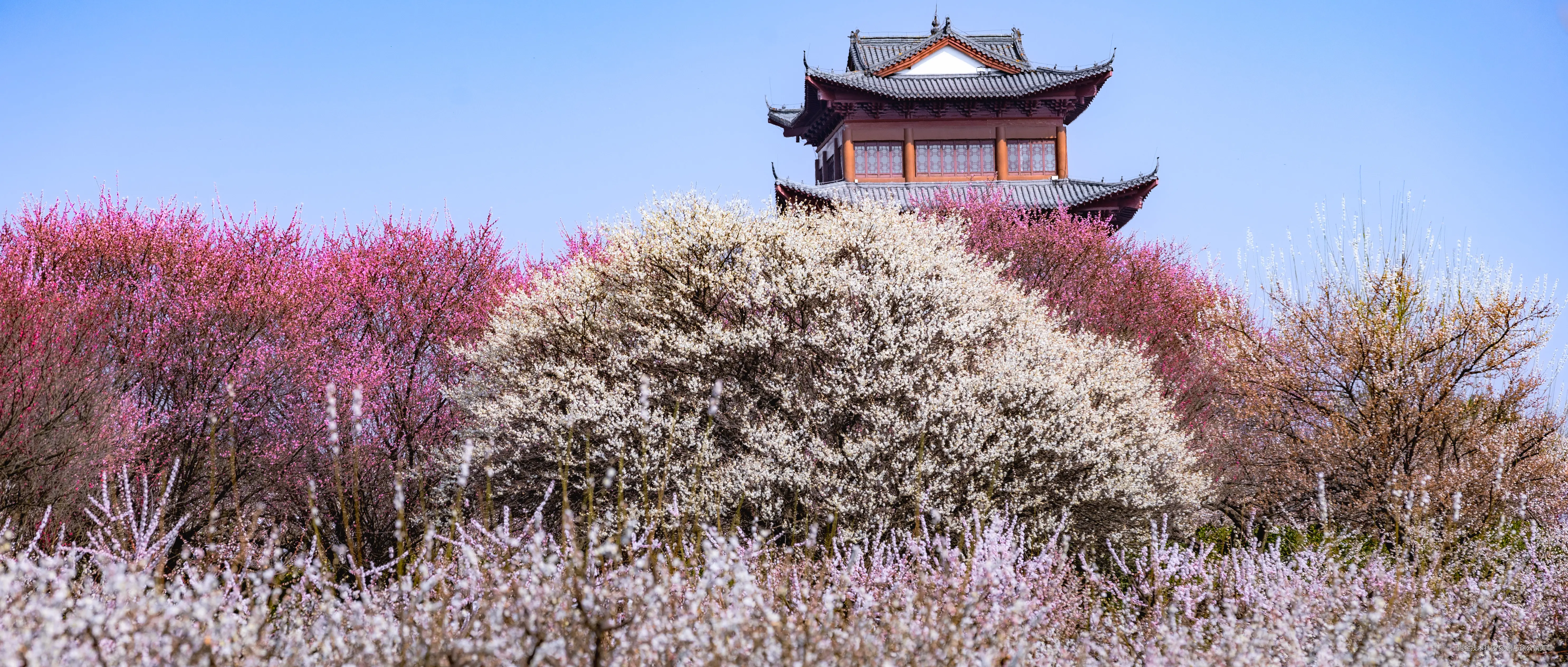 吾与徐公孰美耶于2025-03-03 10:14发布的图片