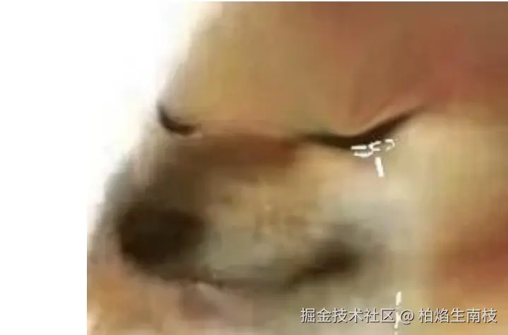 柏焰生南枝于2025-04-27 07:17发布的图片