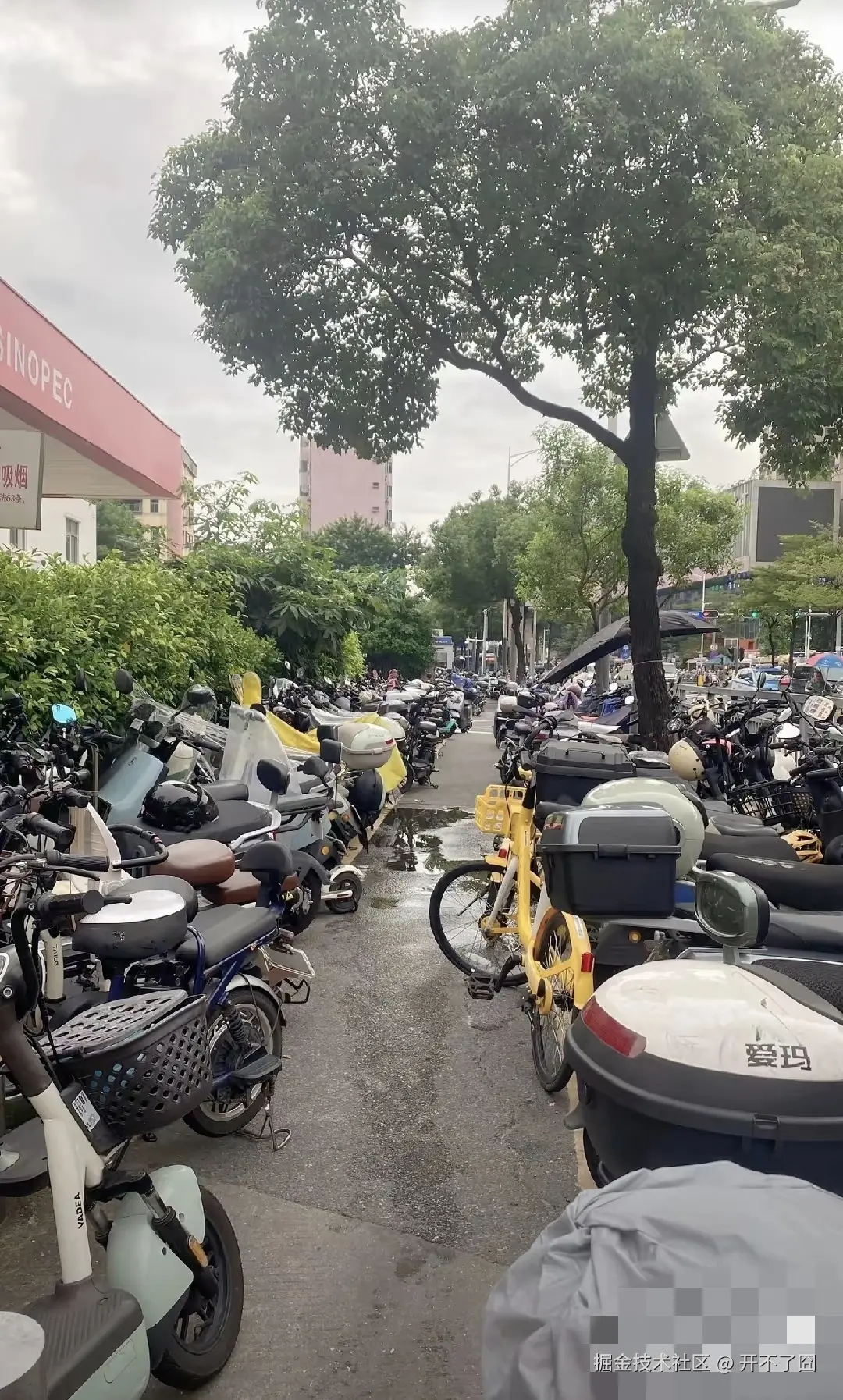 开不了囧于2025-01-07 17:43发布的图片