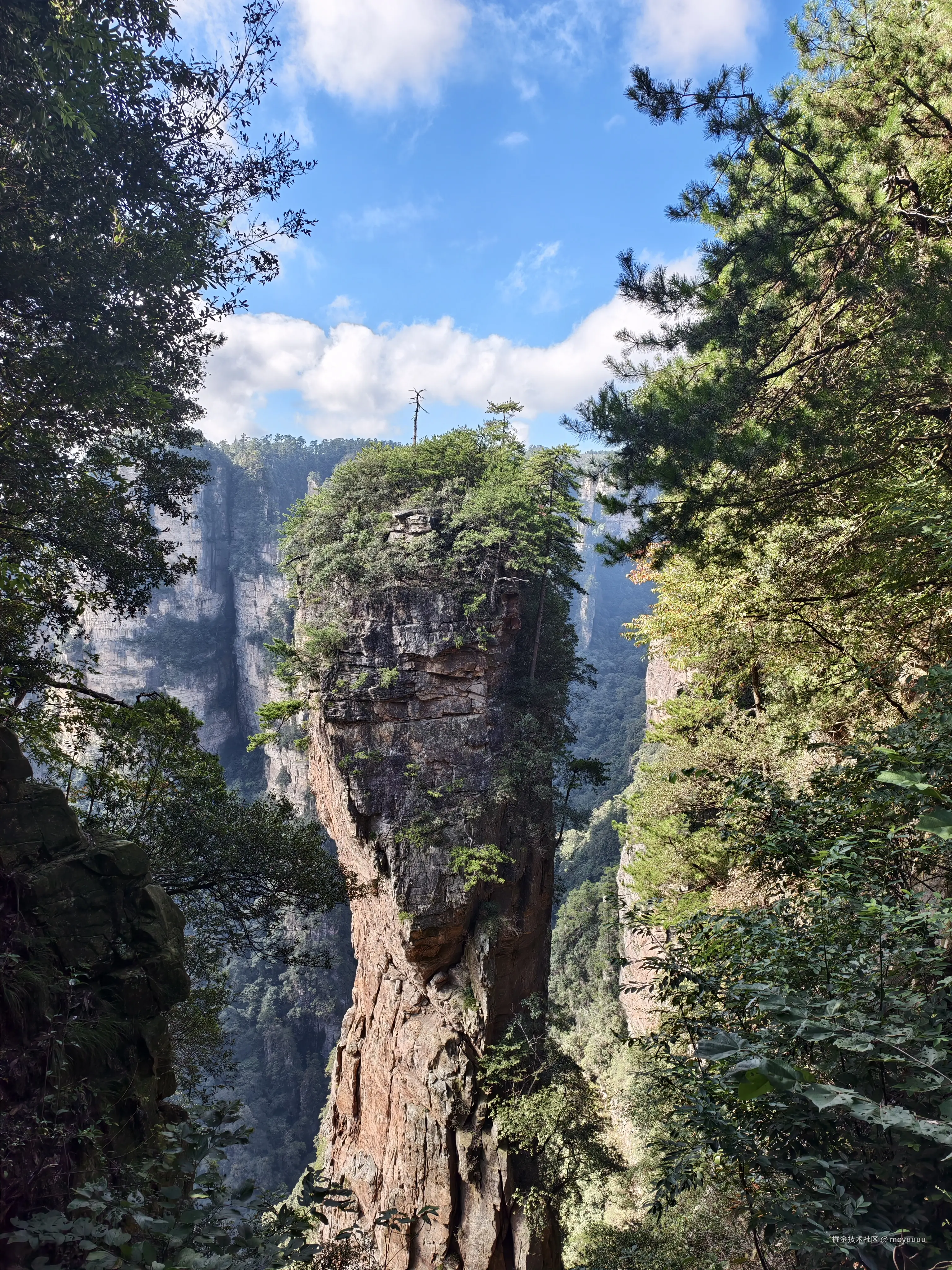 moyuuuu于2025-10-09 10:09发布的图片