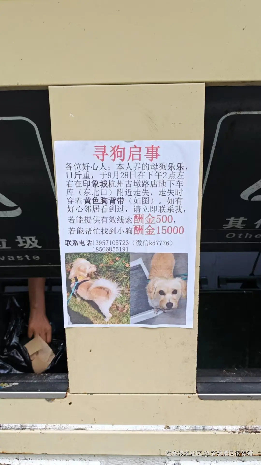 梦想是回家养猪于2025-10-16 11:08发布的图片