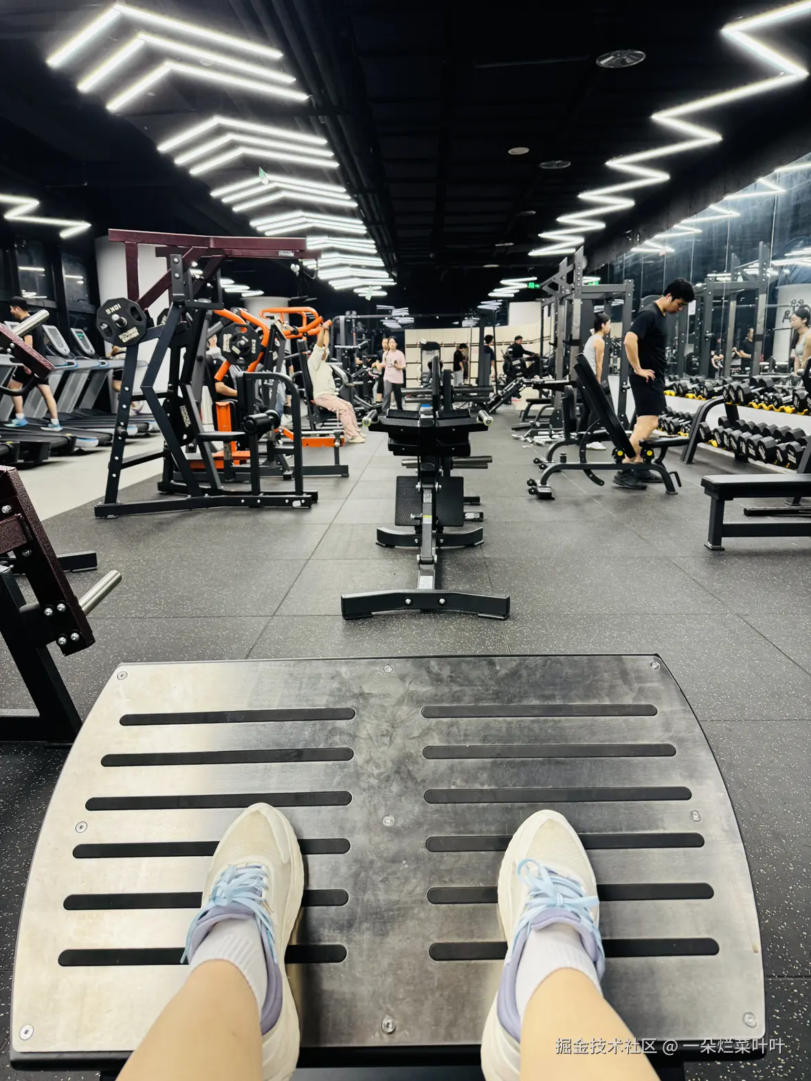 一朵烂菜叶叶于2025-10-15 18:16发布的图片