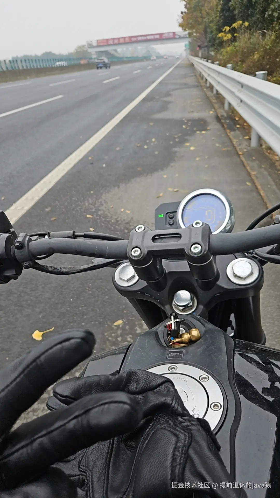 提前退休的java猿于2025-12-06 16:02发布的图片