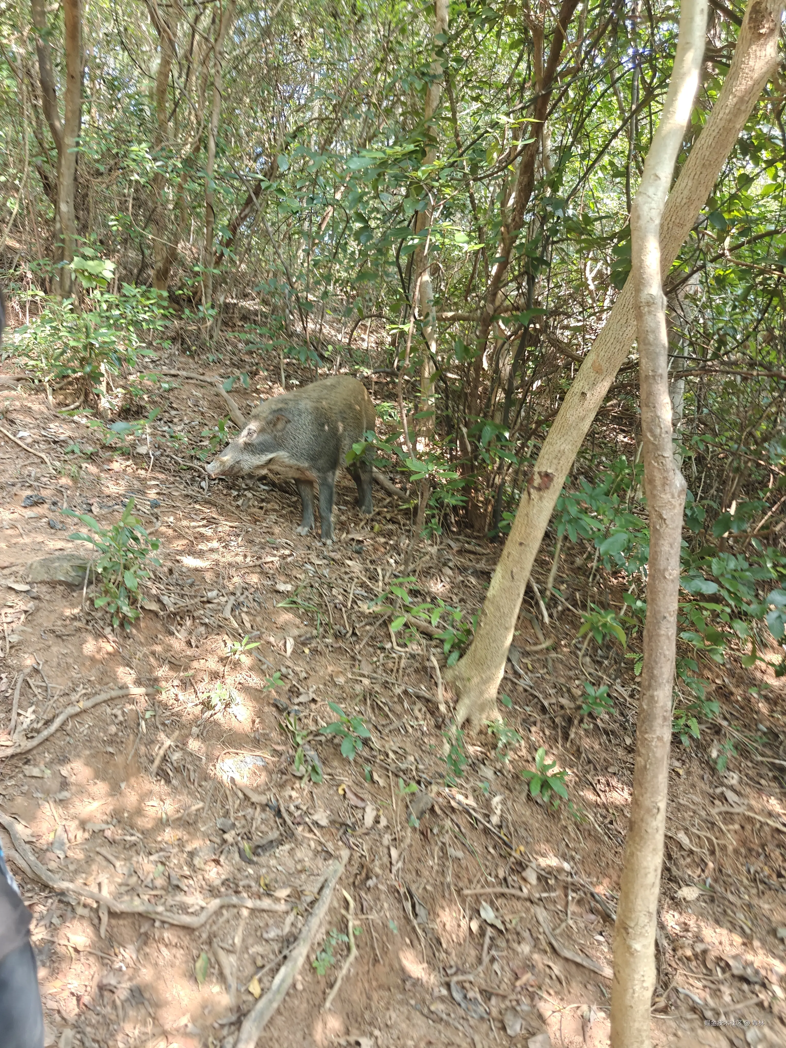 青林于2025-10-20 09:26发布的图片