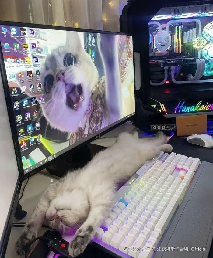 法欧特斯卡雷特_Official于2024-10-24 15:42发布的图片