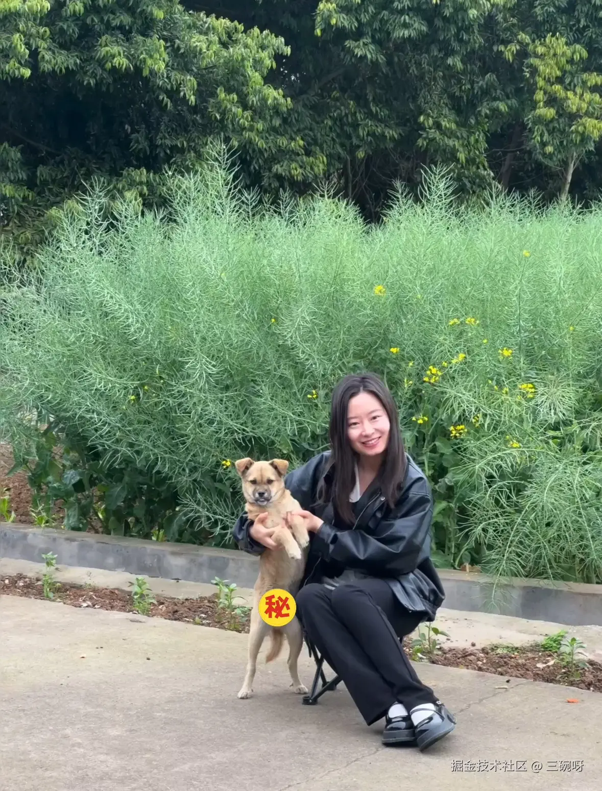 三碗呀于2025-04-09 11:21发布的图片