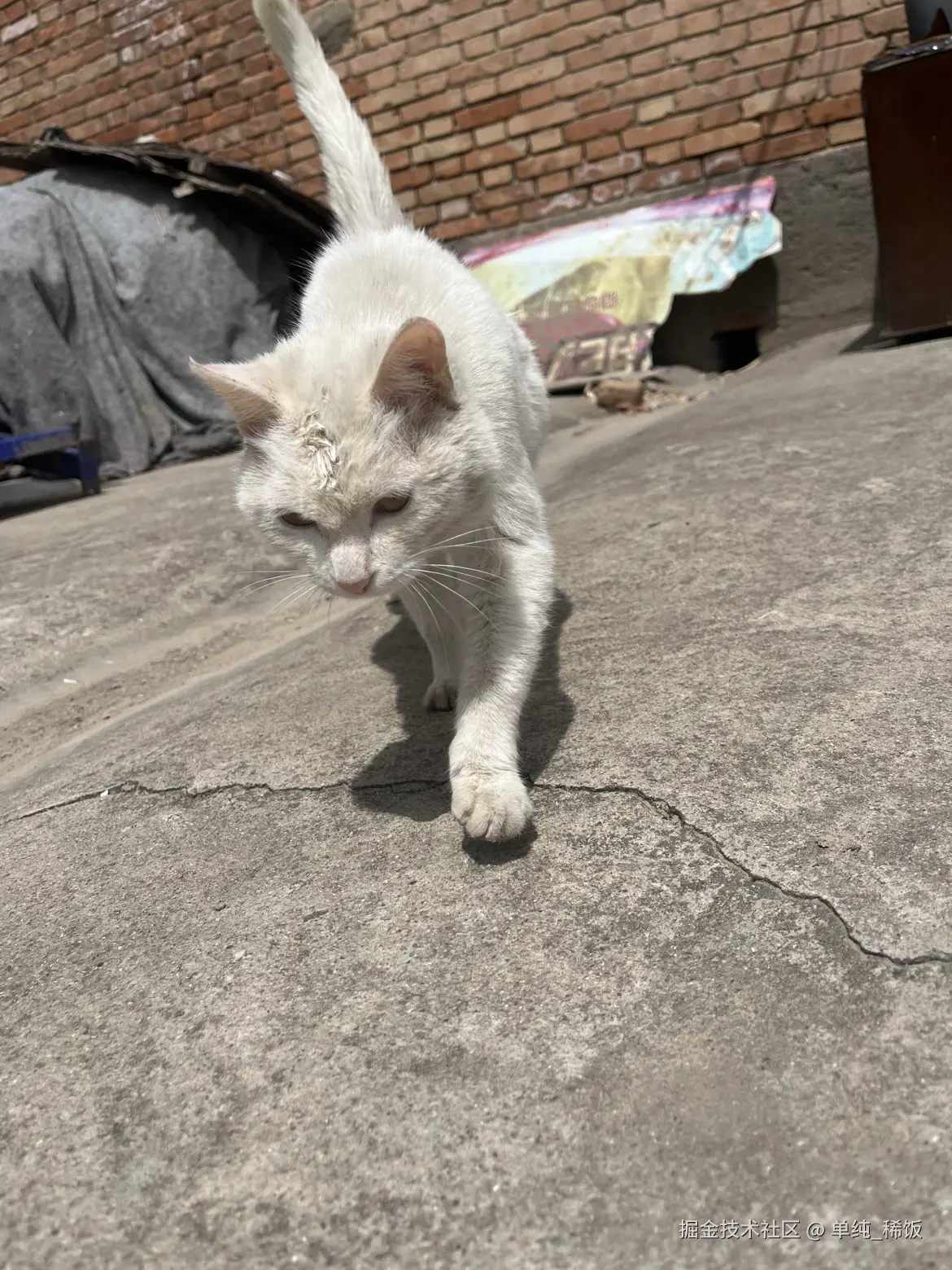 单纯_稀饭于2025-04-25 12:03发布的图片