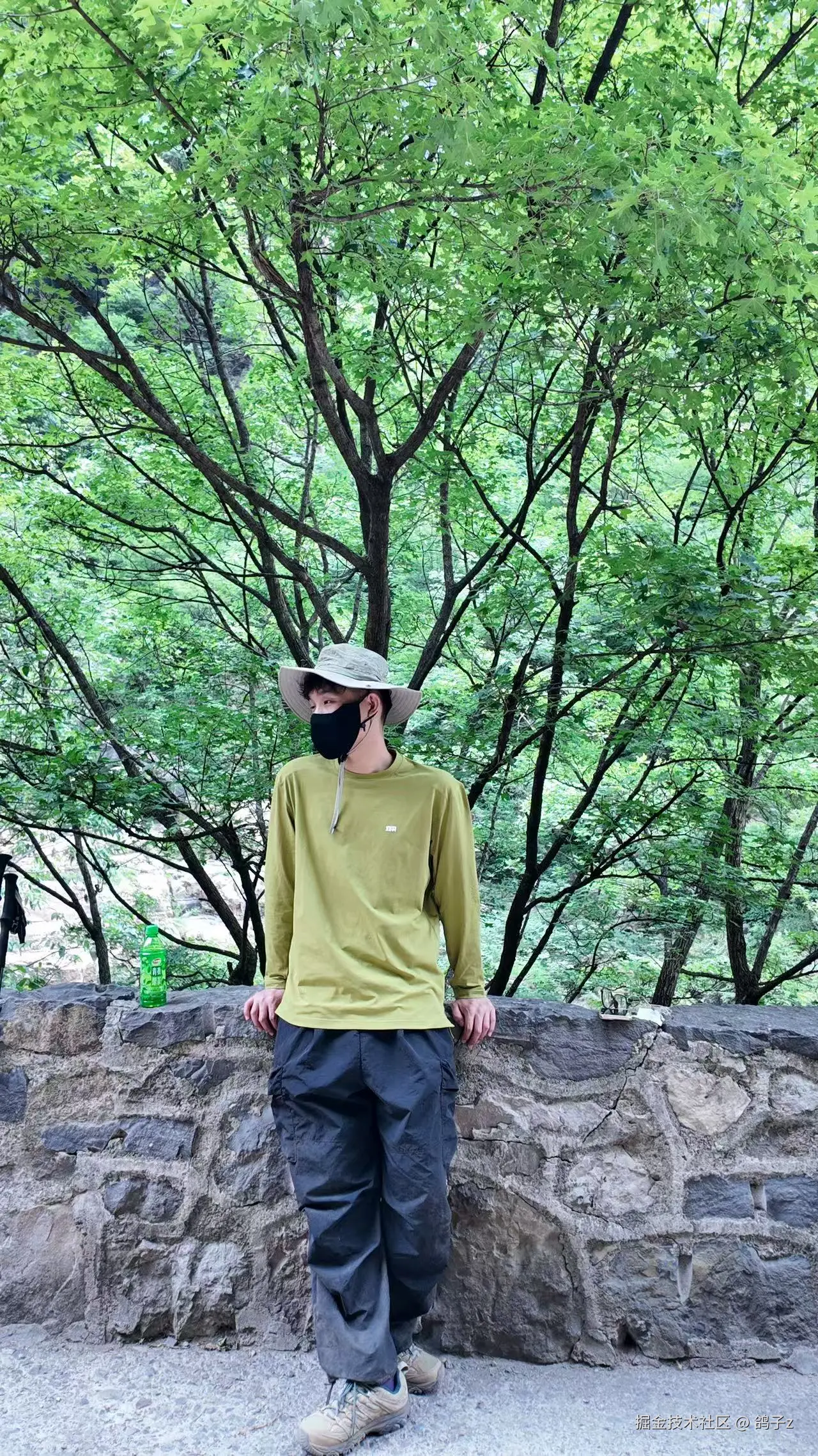 鸽子z于2025-06-16 09:27发布的图片