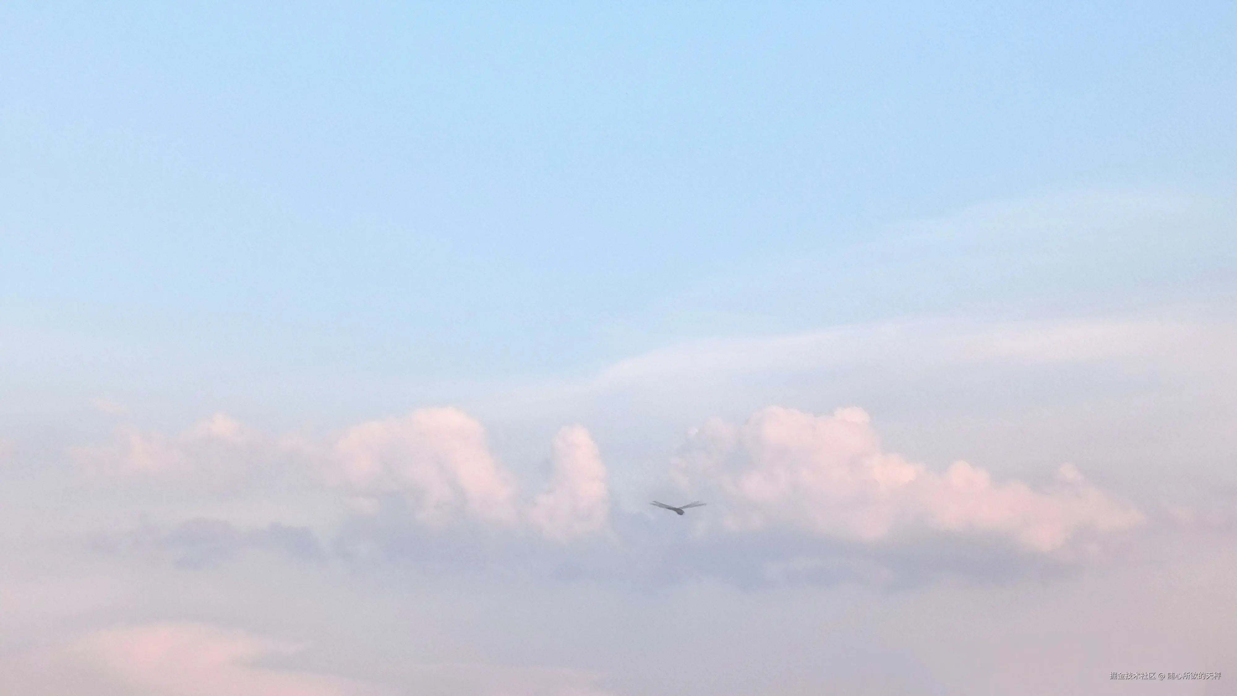 随心所欲的天秤于2024-08-05 10:36发布的图片