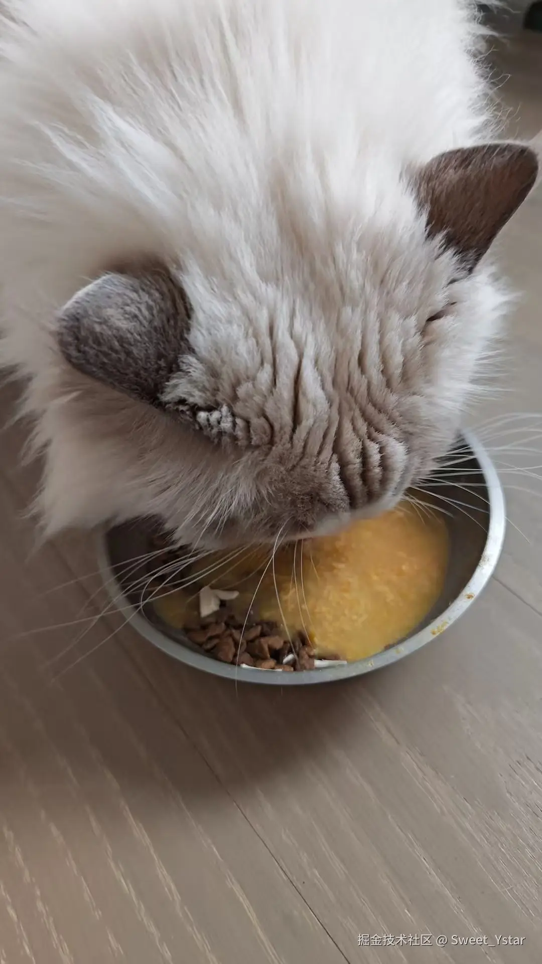 Sweet_Ystar于2026-03-12 01:46发布的图片