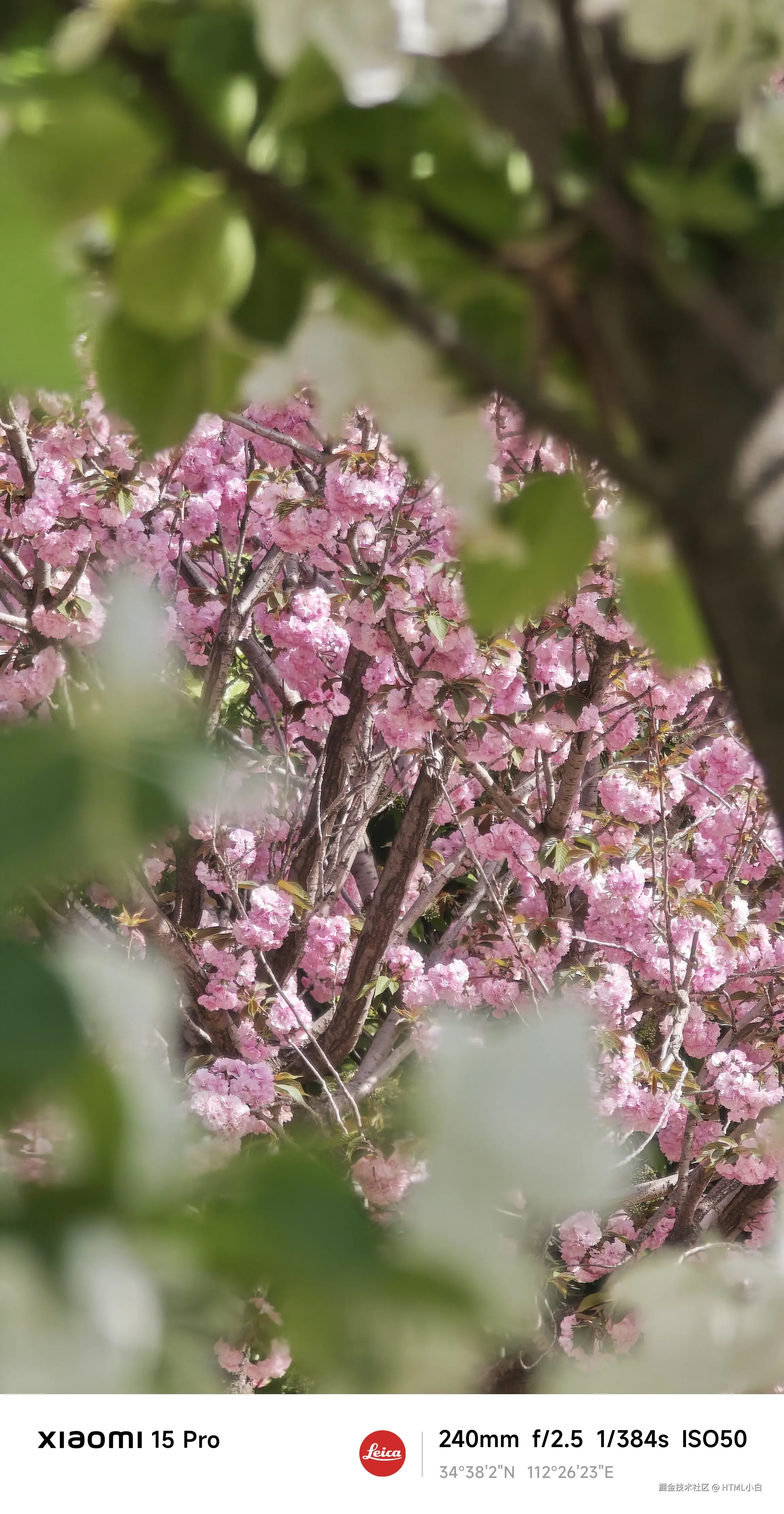 HTML小白于2025-04-07 17:27发布的图片