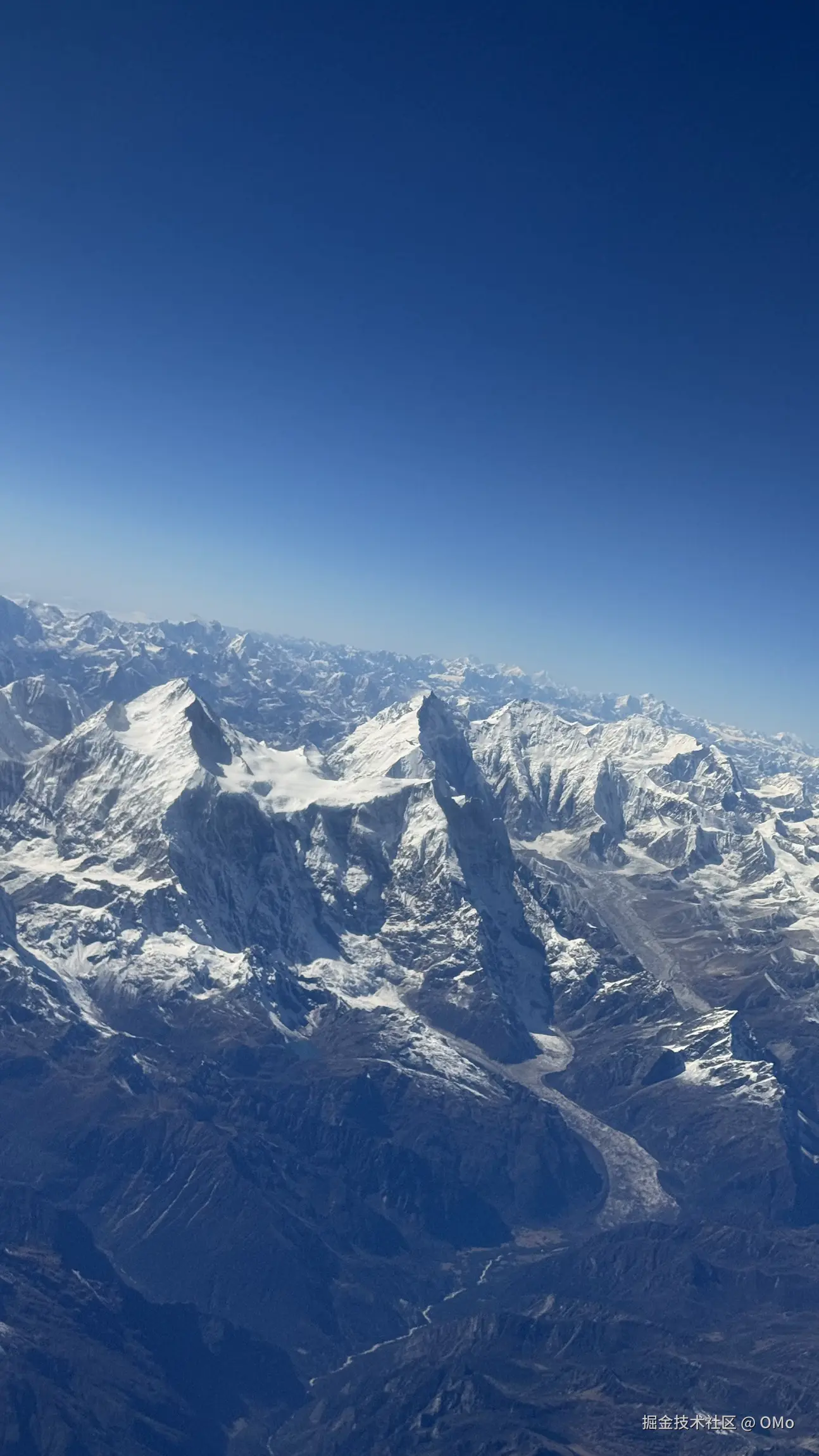 OMo于2026-01-27 11:50发布的图片