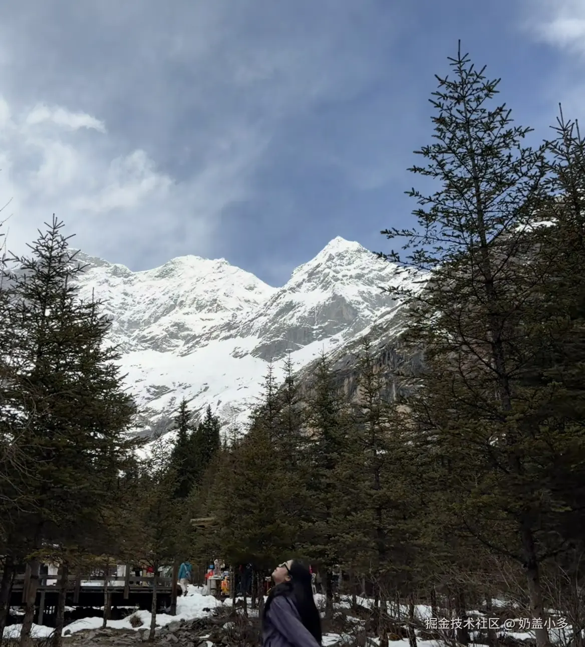 奶盖小多于2026-04-21 16:29发布的图片