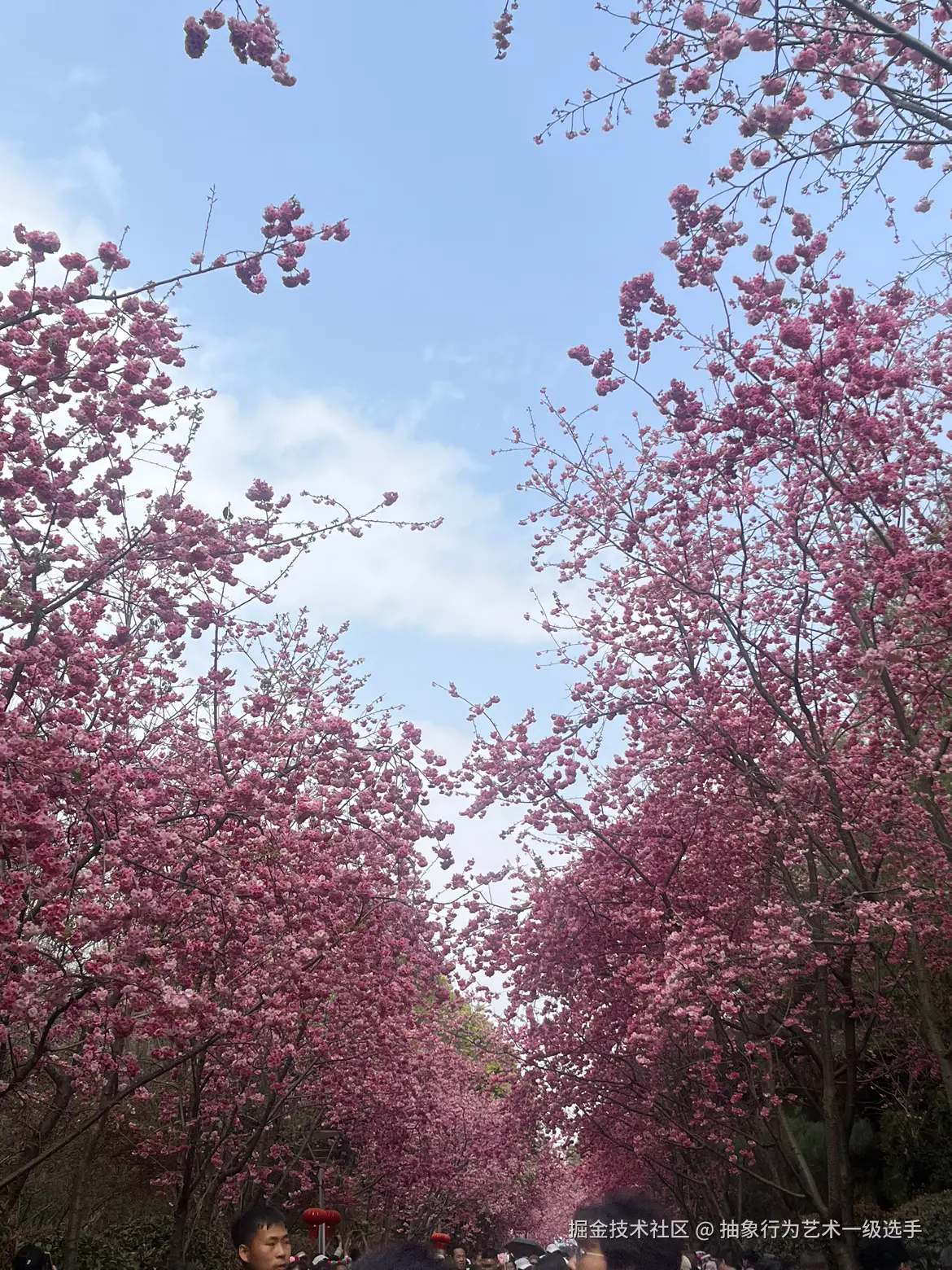 抽象行为艺术一级选手于2026-03-09 09:42发布的图片