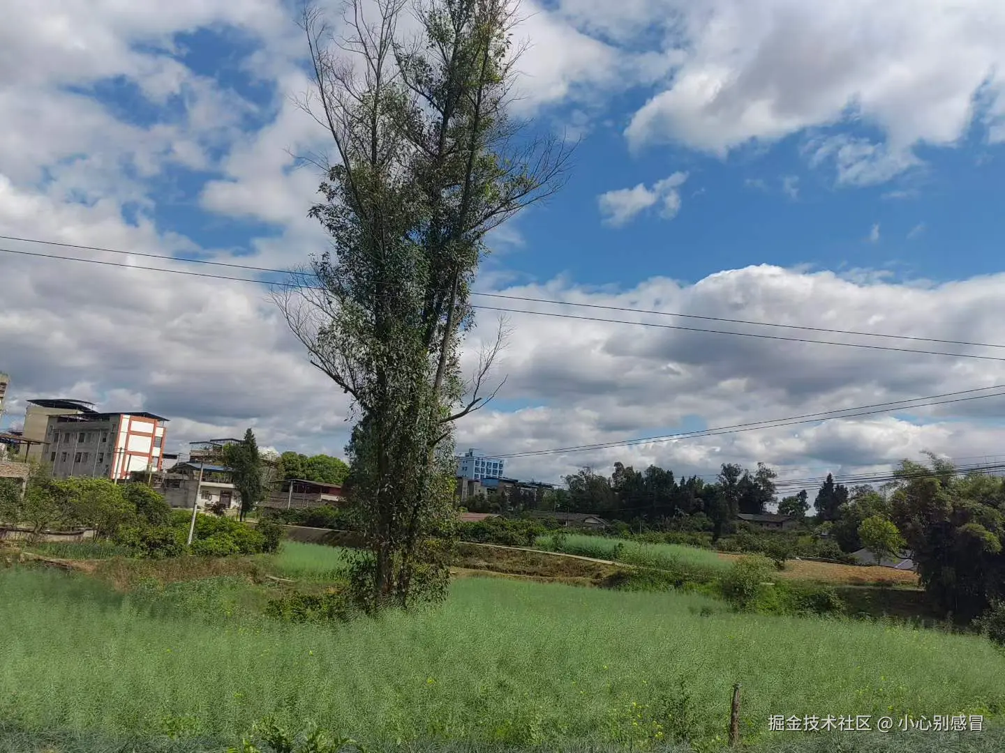 小心别感冒于2026-03-24 15:41发布的图片