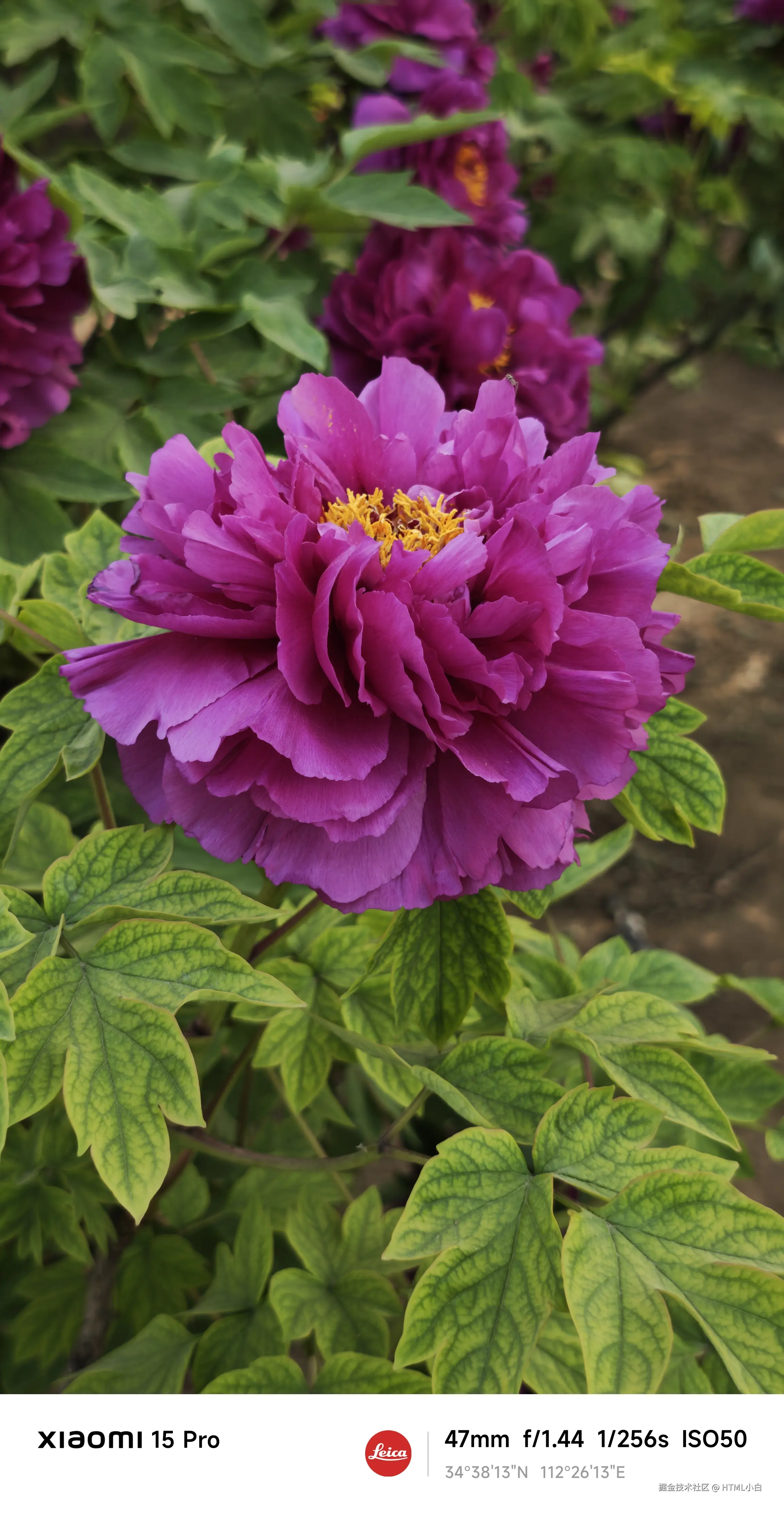 HTML小白于2025-04-07 17:27发布的图片