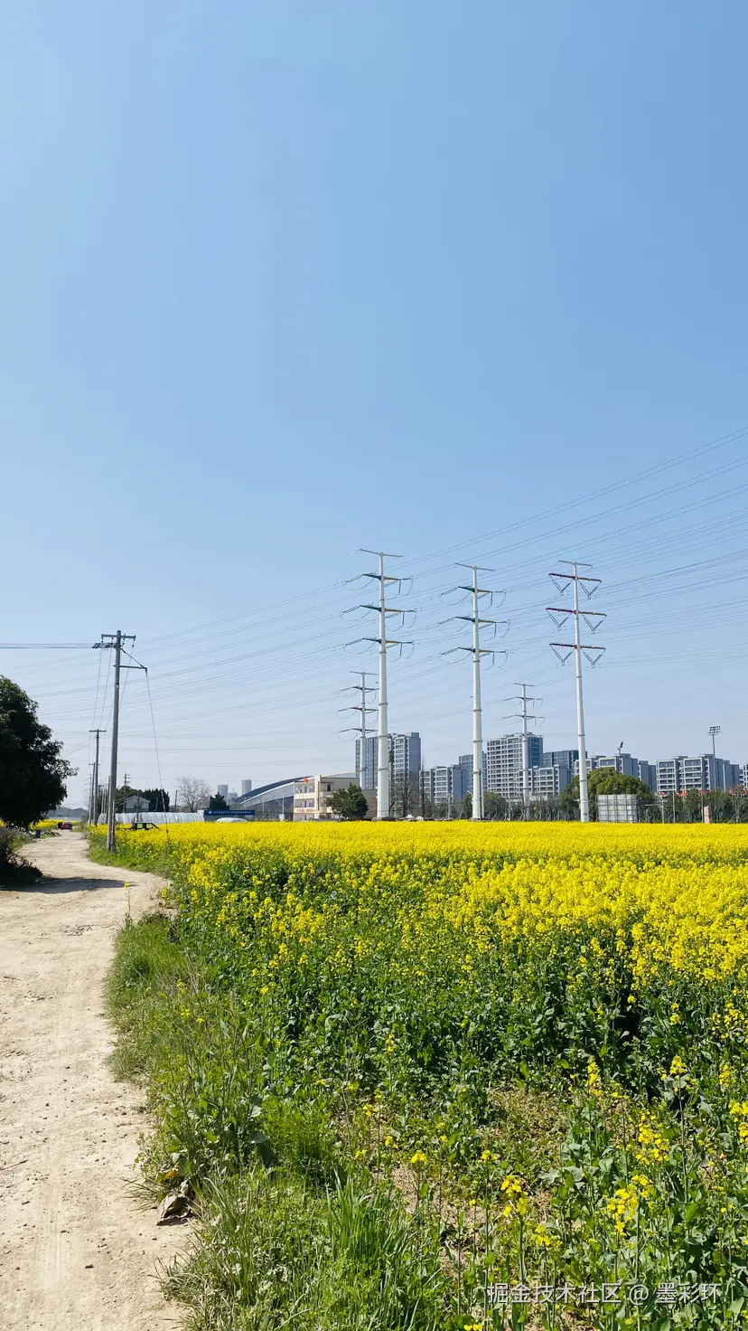 墨彩环于2025-03-20 23:09发布的图片