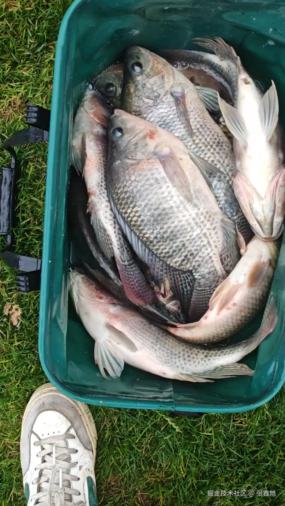 张鑫旭于2025-06-11 06:51发布的图片