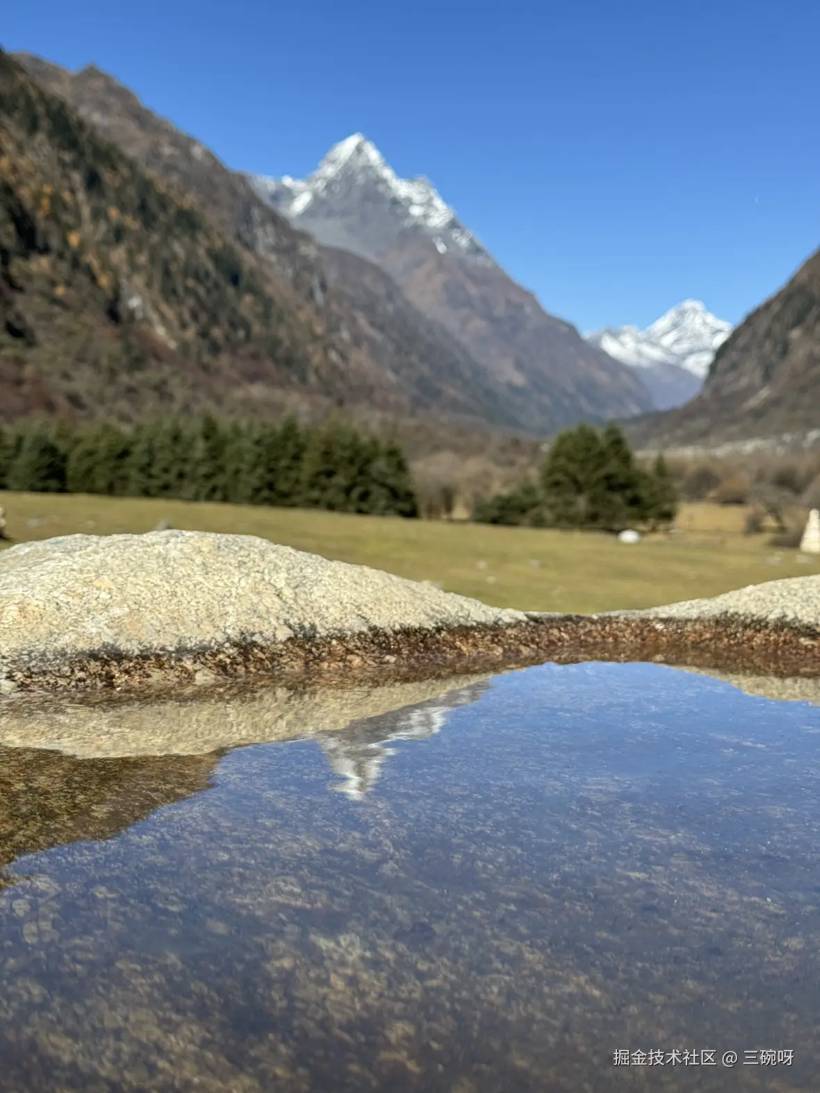 三碗呀于2024-11-13 09:18发布的图片