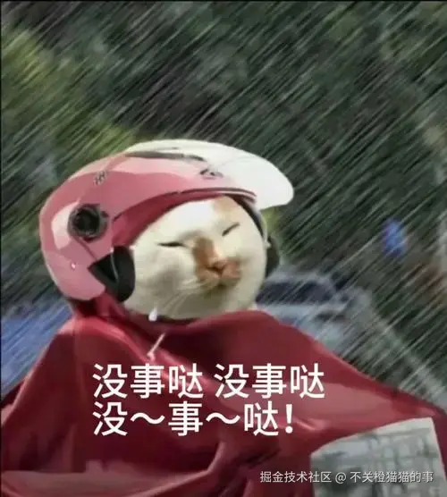 不关橙猫猫的事于2024-08-13 17:07发布的图片