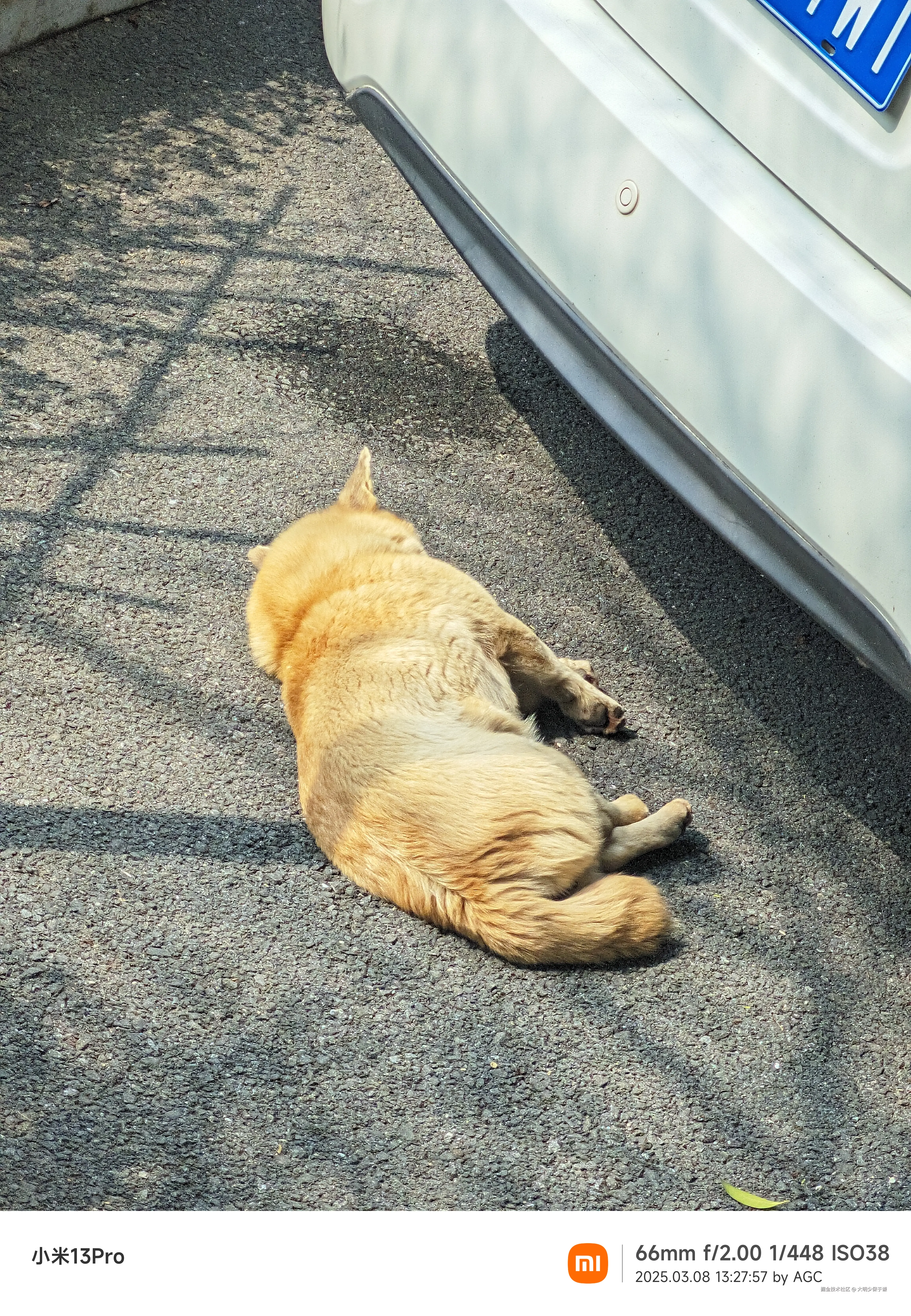 大明少保于谦于2025-03-10 15:40发布的图片