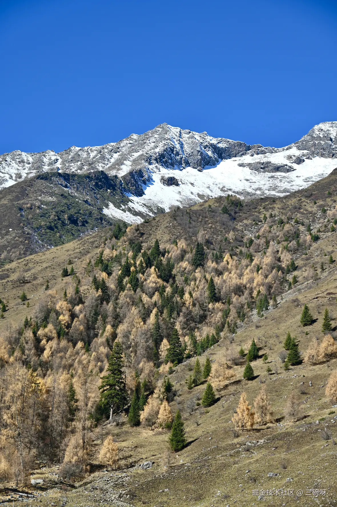 三碗呀于2024-11-13 09:18发布的图片