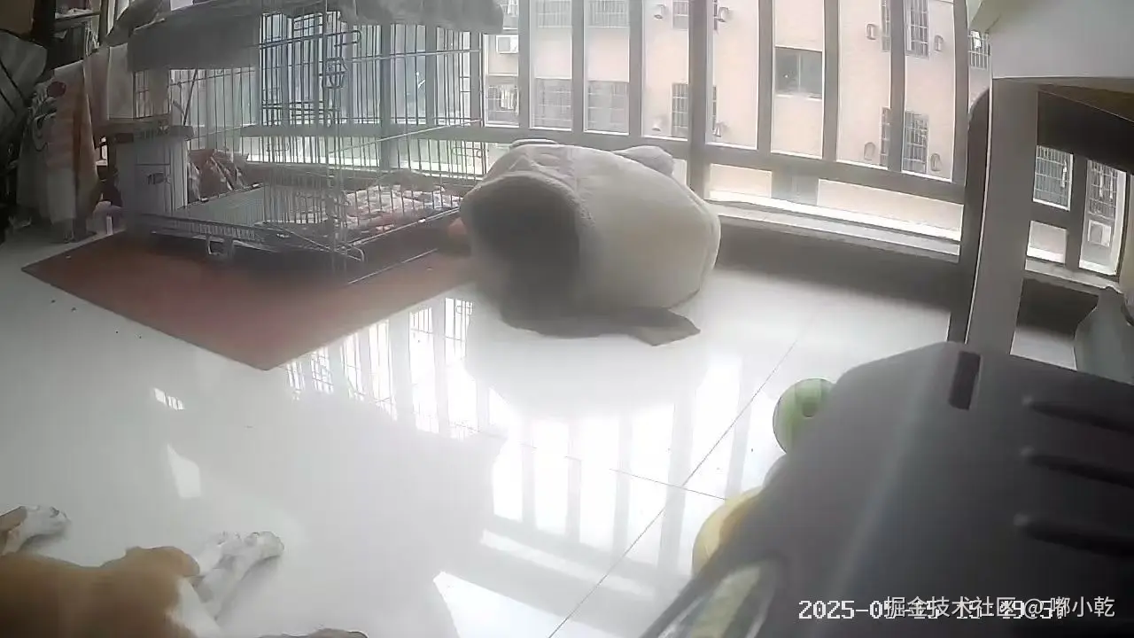 嘟小乾于2025-05-15 15:50发布的图片