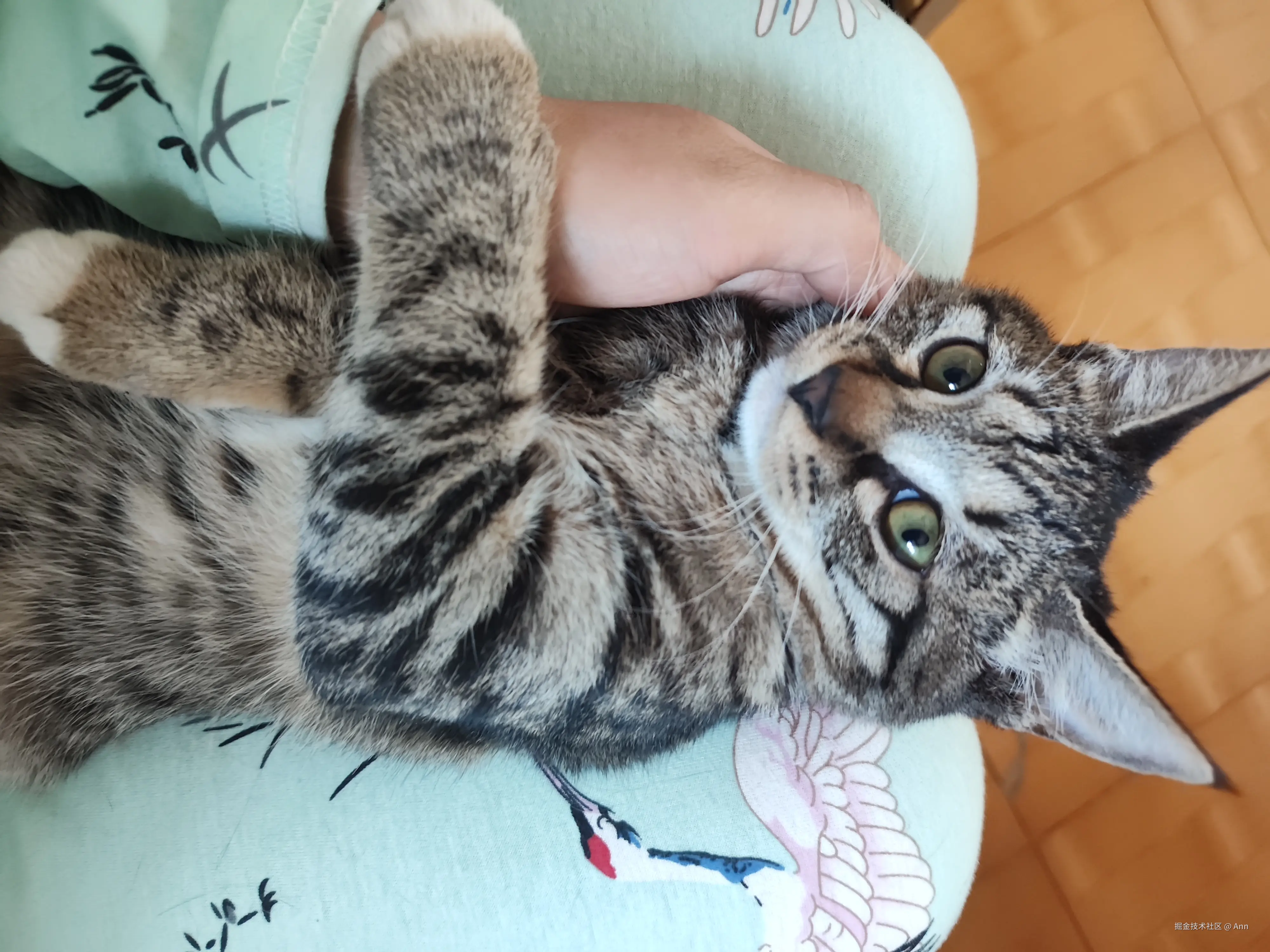 Ann于2024-10-09 10:43发布的图片