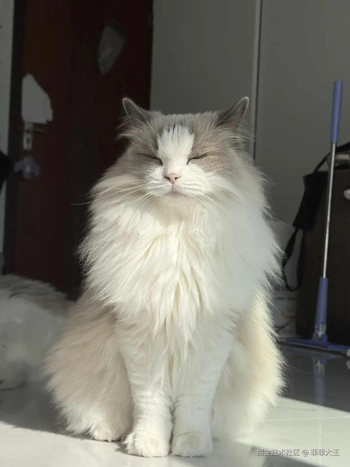 菲菲大王于2025-11-18 11:09发布的图片