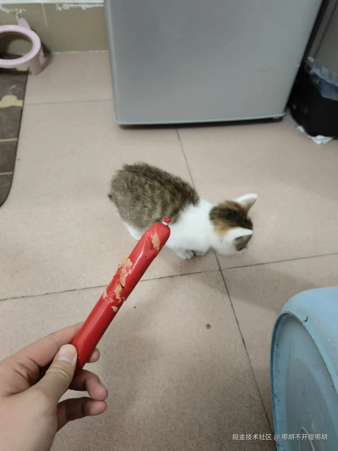 哪胡不开提哪胡于2024-12-23 10:55发布的图片