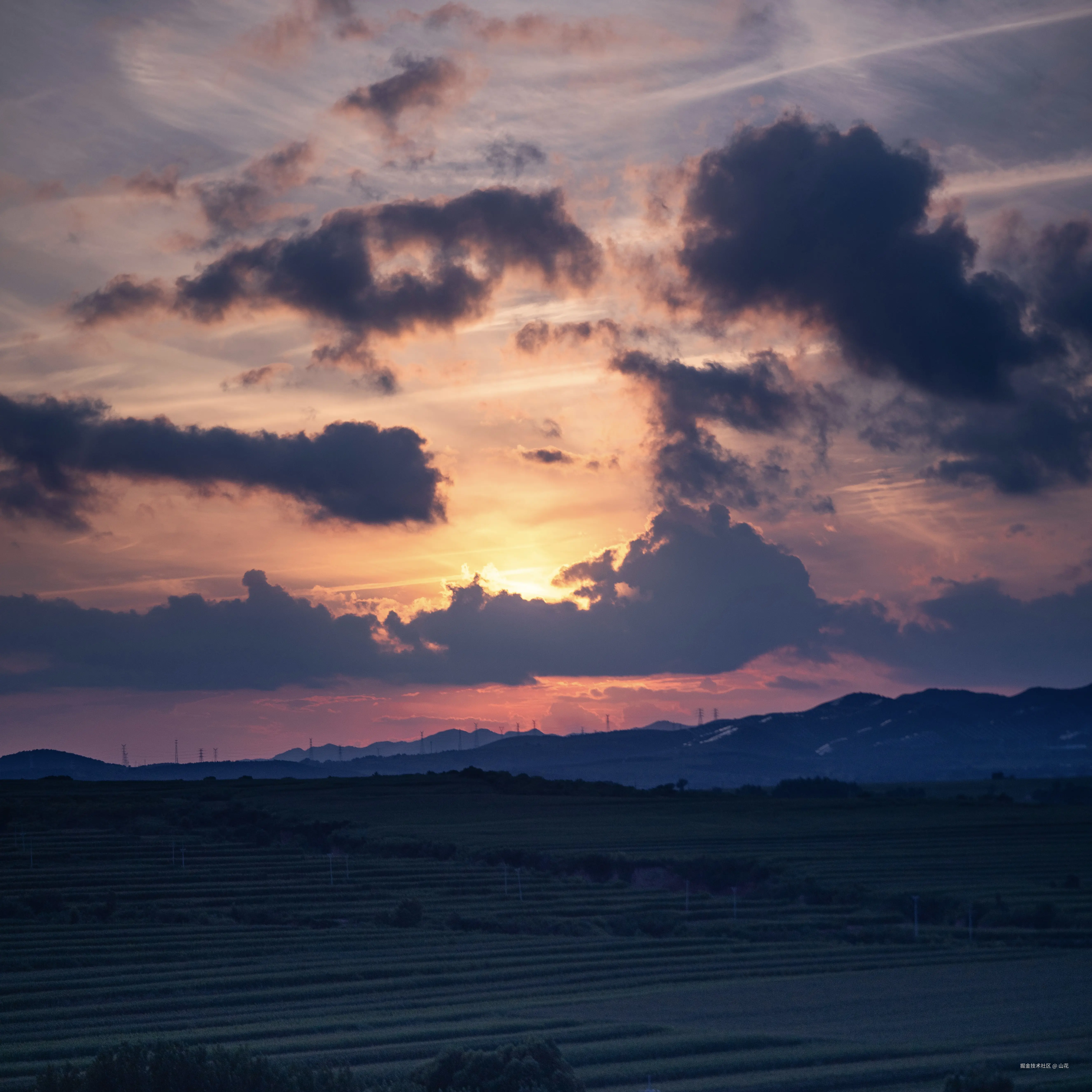 山花于2025-08-08 10:12发布的图片