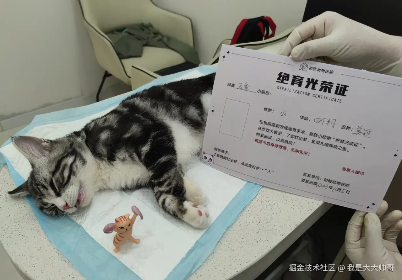 我是大大帅哥于2026-08-18 01:55发布的图片