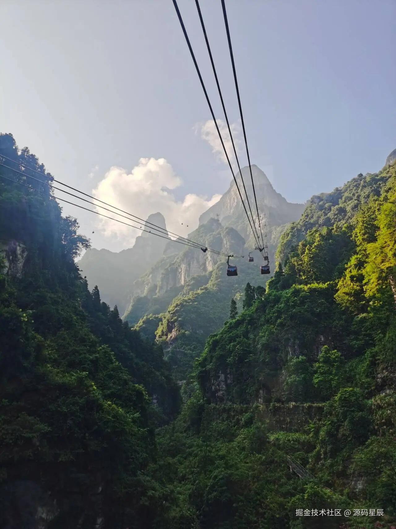 源码星辰于2025-06-21 09:15发布的图片