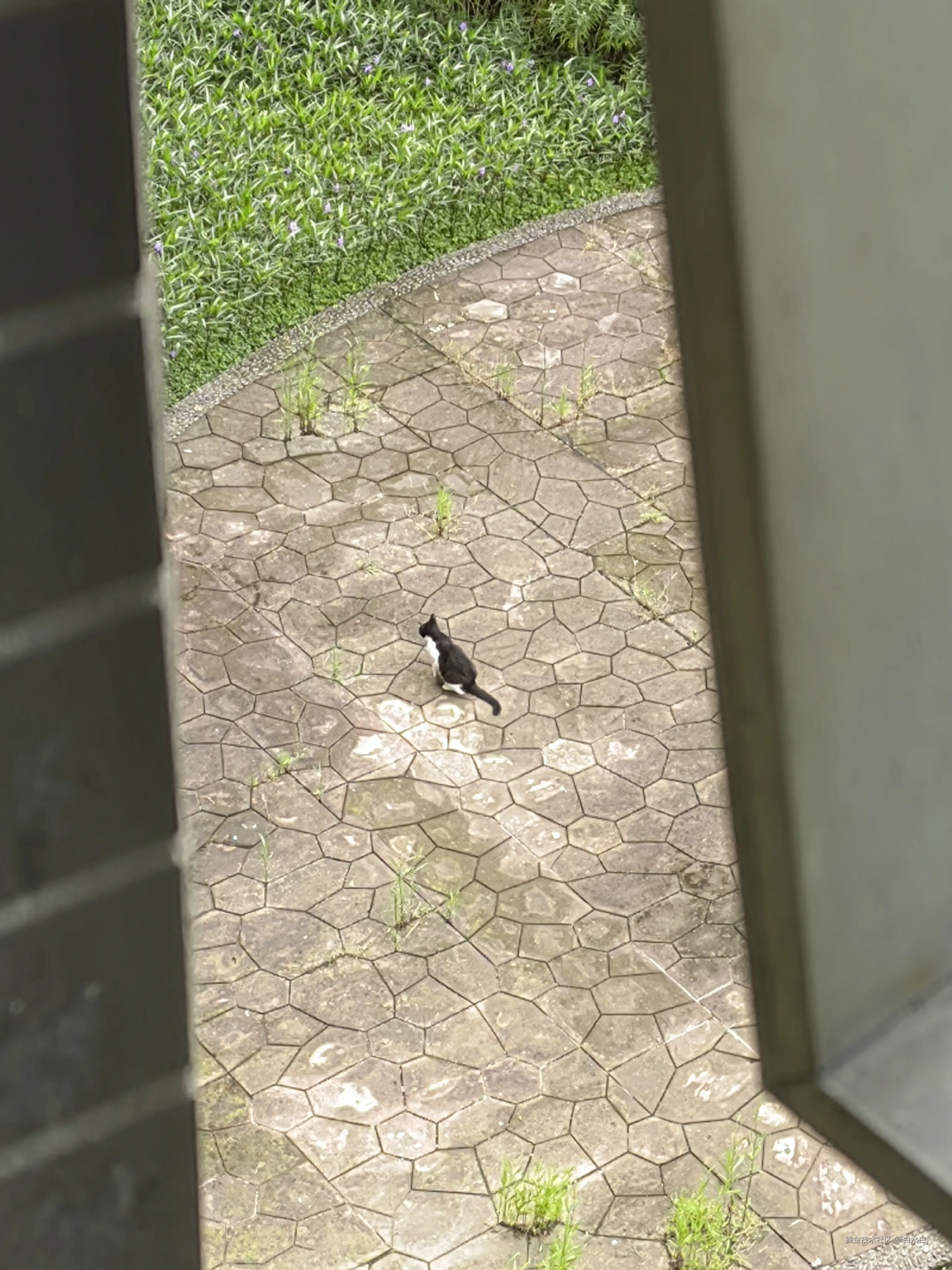 白水白于2025-09-12 14:48发布的图片