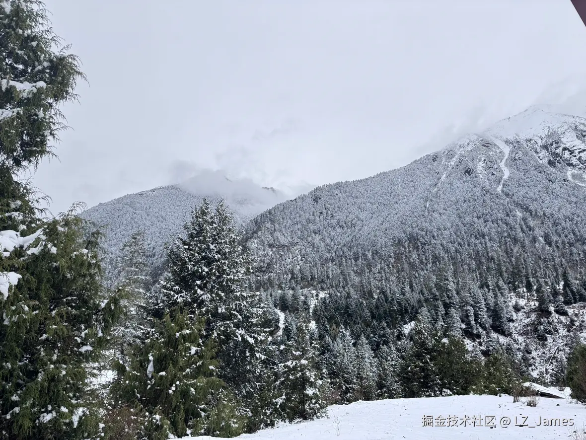 LZ_James于2025-04-30 12:42发布的图片