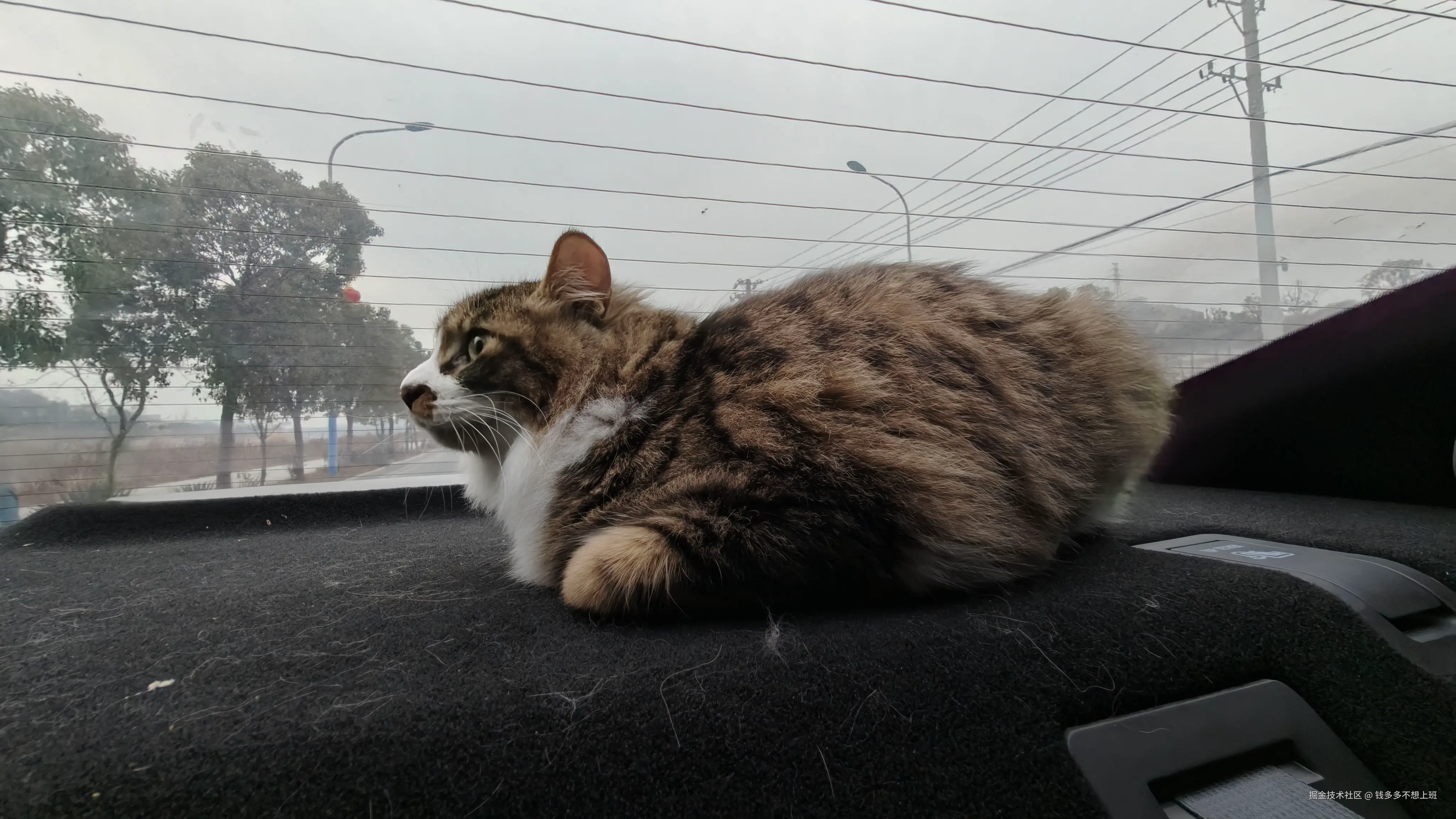 钱多多不想上班于2026-02-09 08:14发布的图片