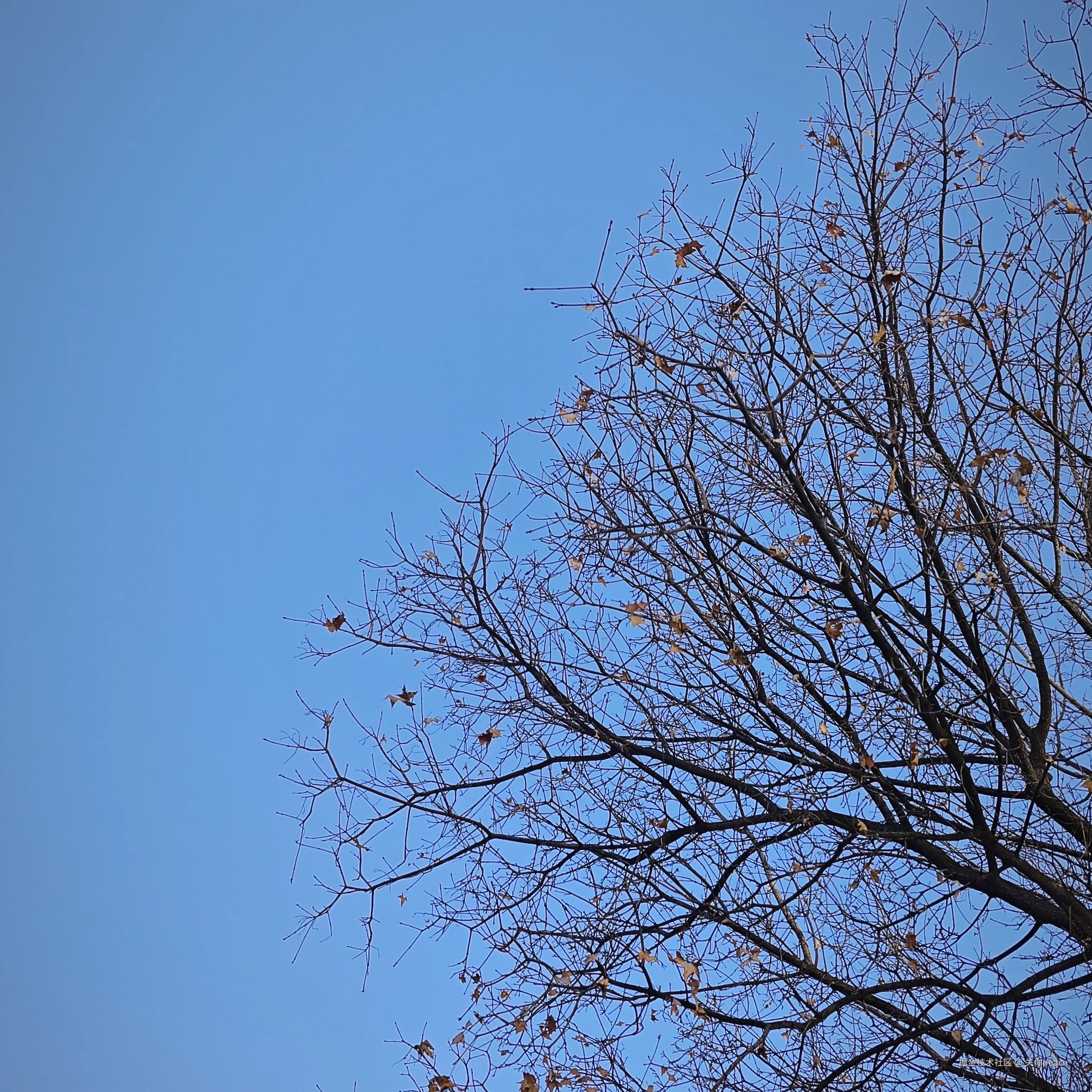 关你peace于2024-11-14 11:32发布的图片