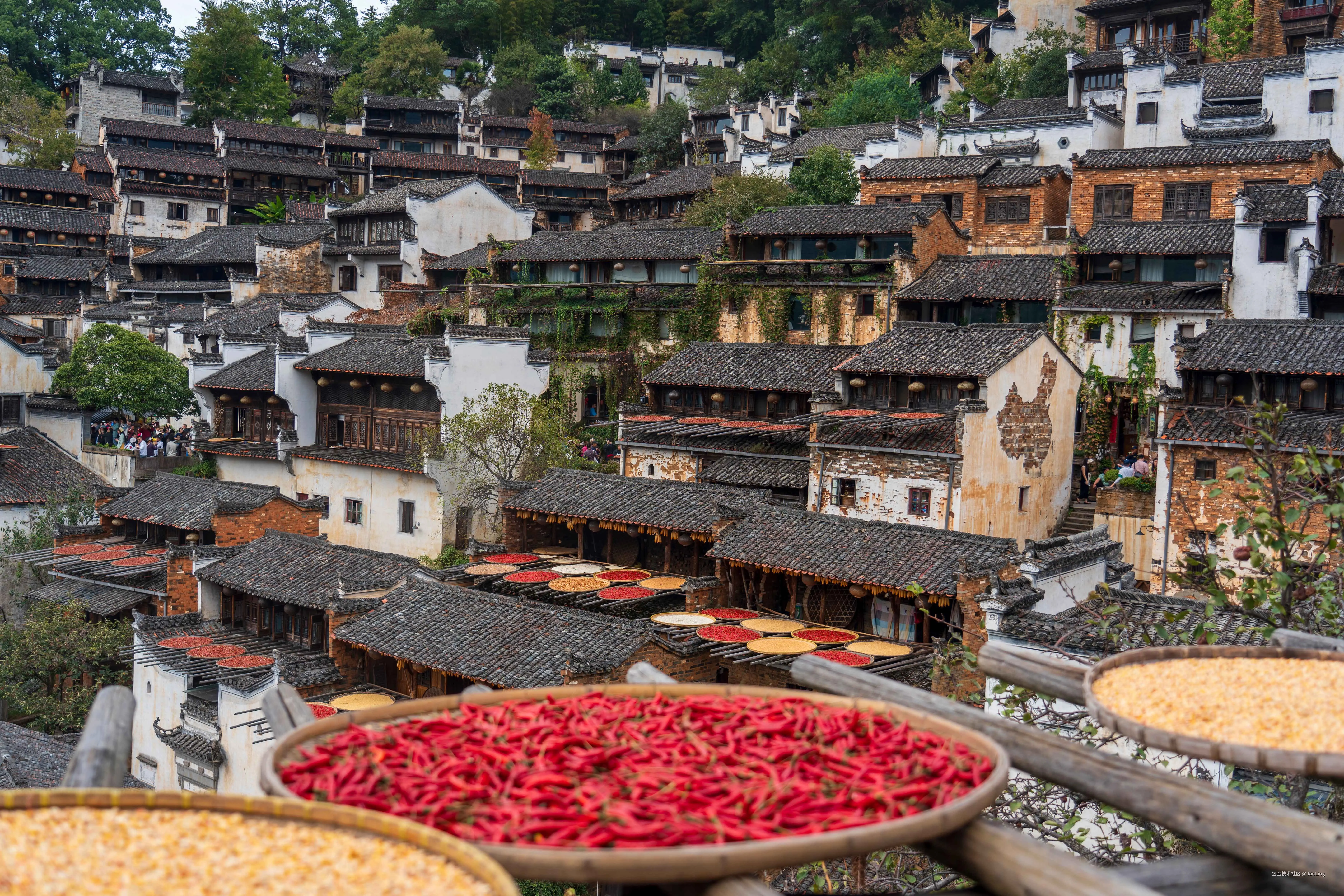 RinLing于2025-10-27 10:49发布的图片