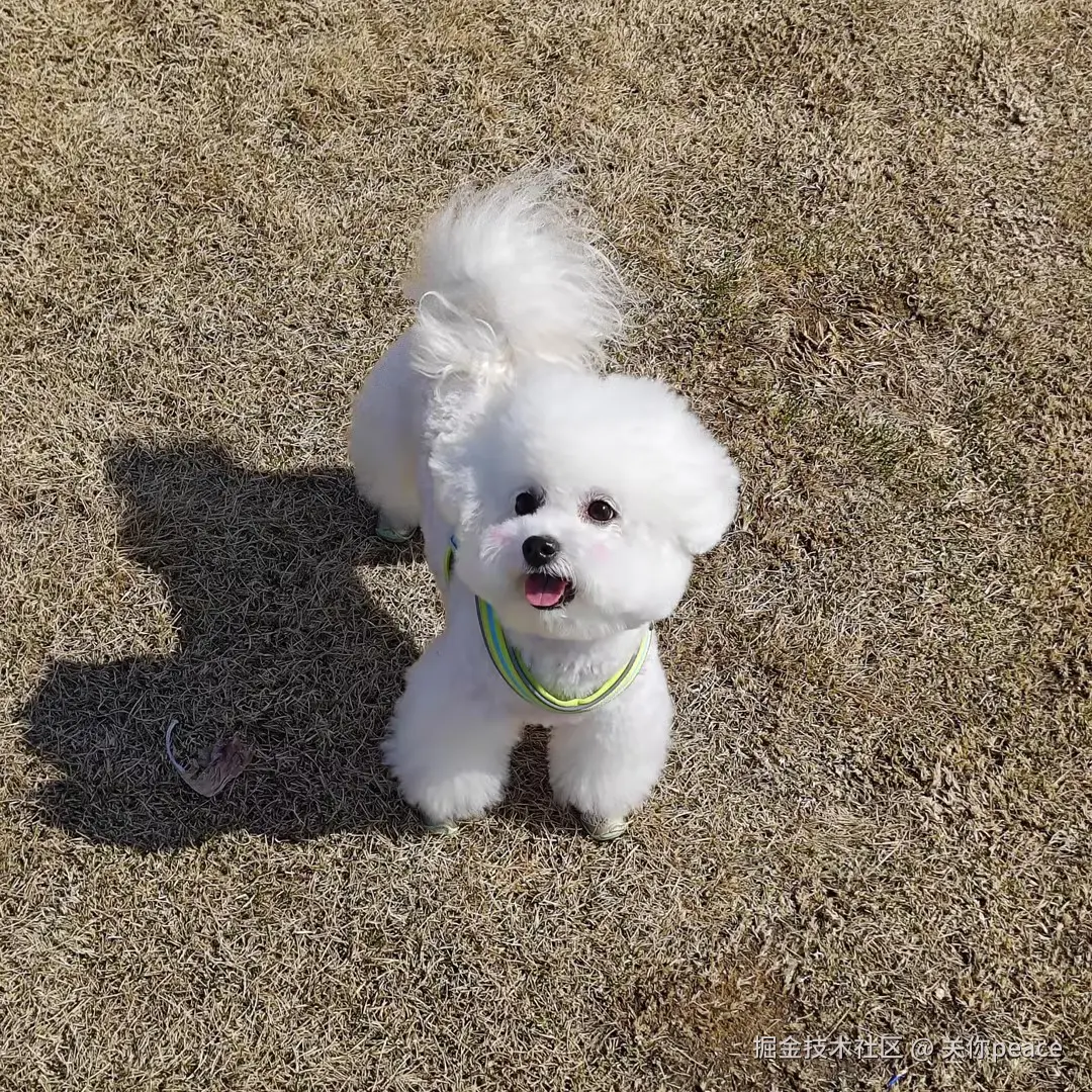 关你peace于2026-04-15 10:23发布的图片