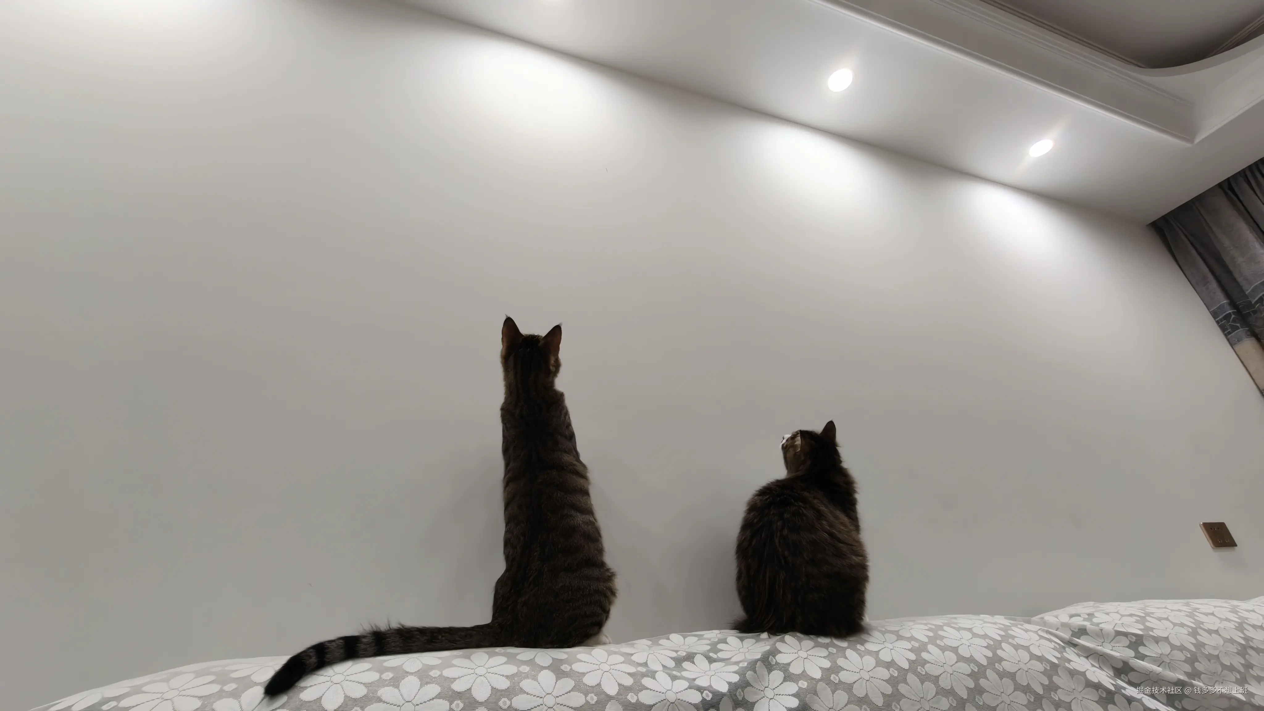 钱多多不想上班于2026-03-03 11:31发布的图片