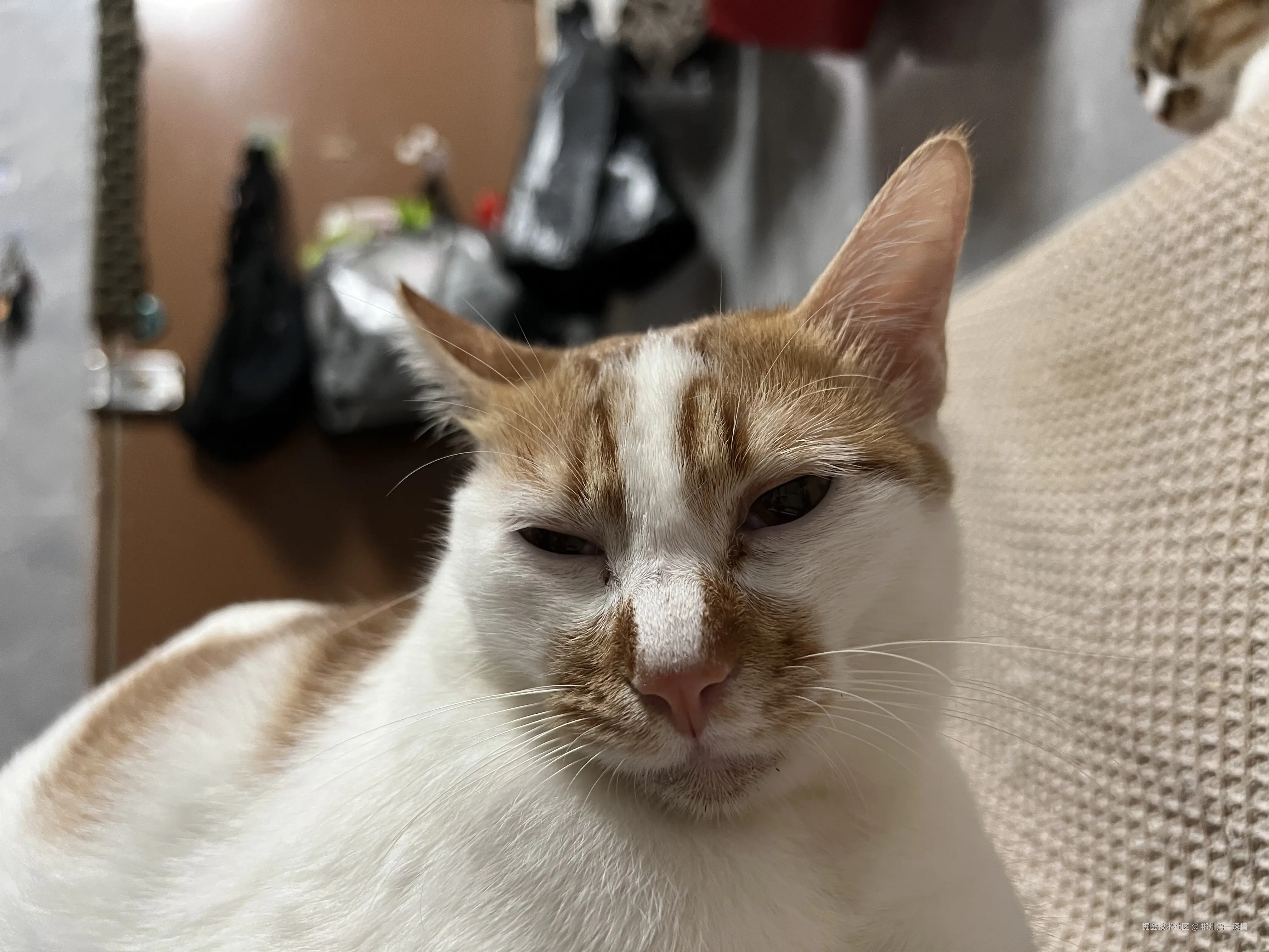 郴州第一深情于2025-07-21 08:45发布的图片