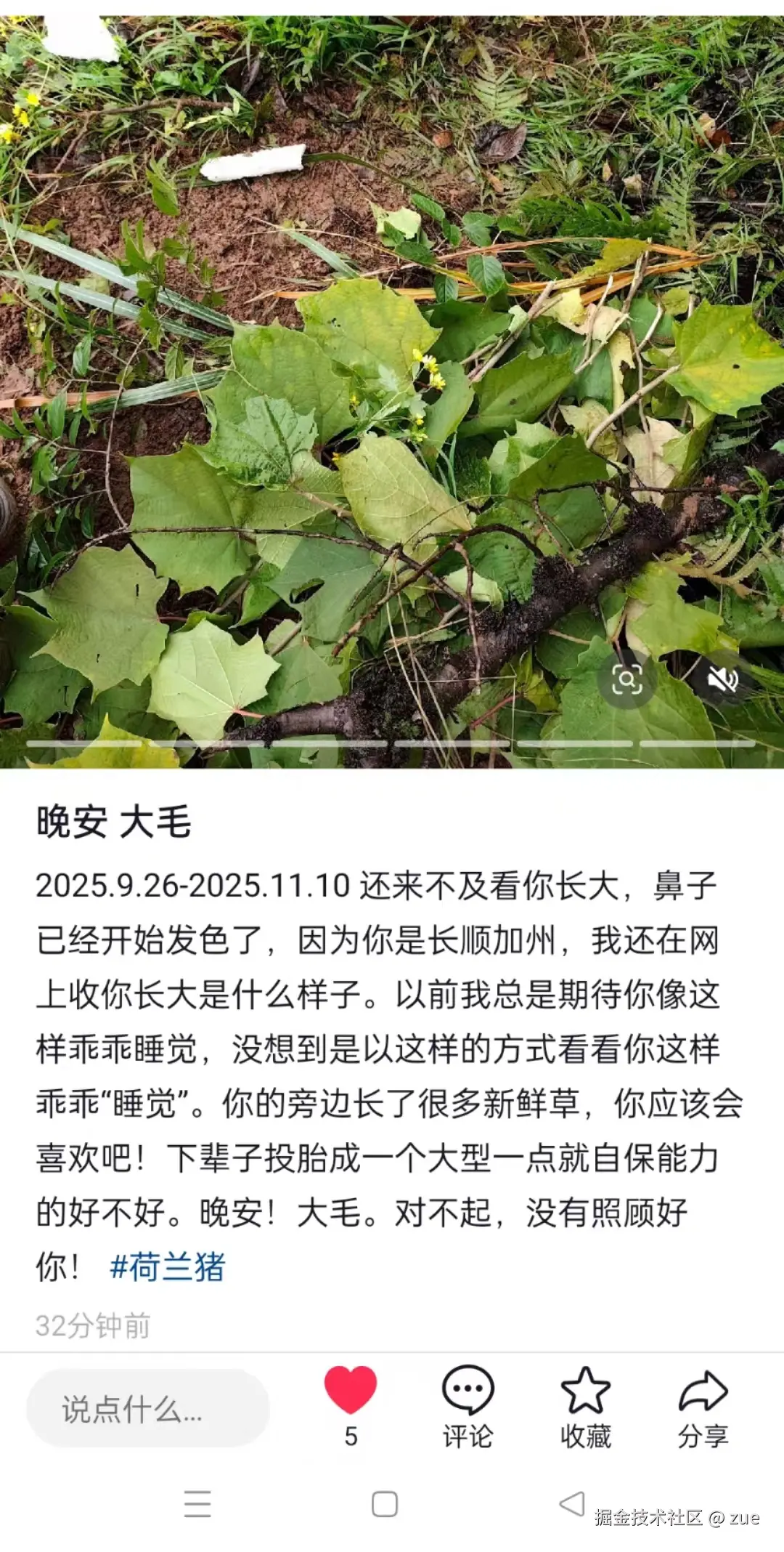 zue于2025-11-10 11:29发布的图片